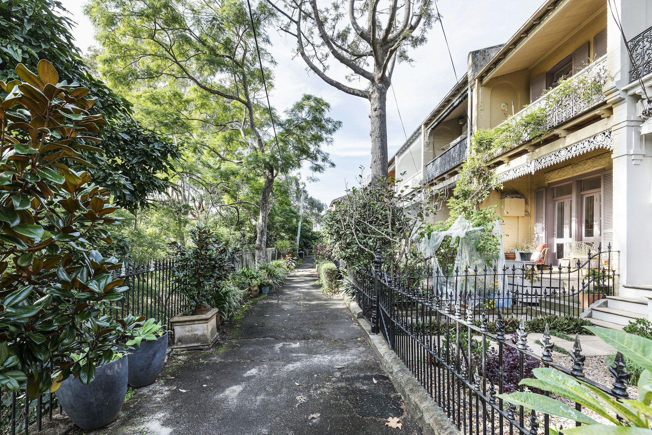 garden