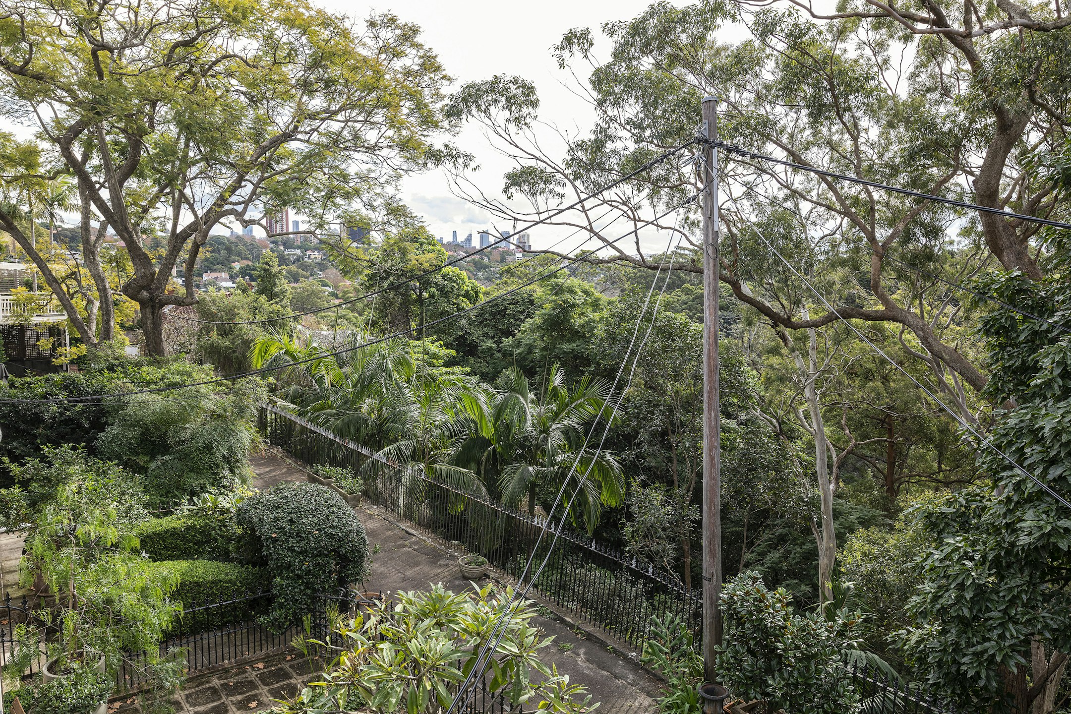 garden