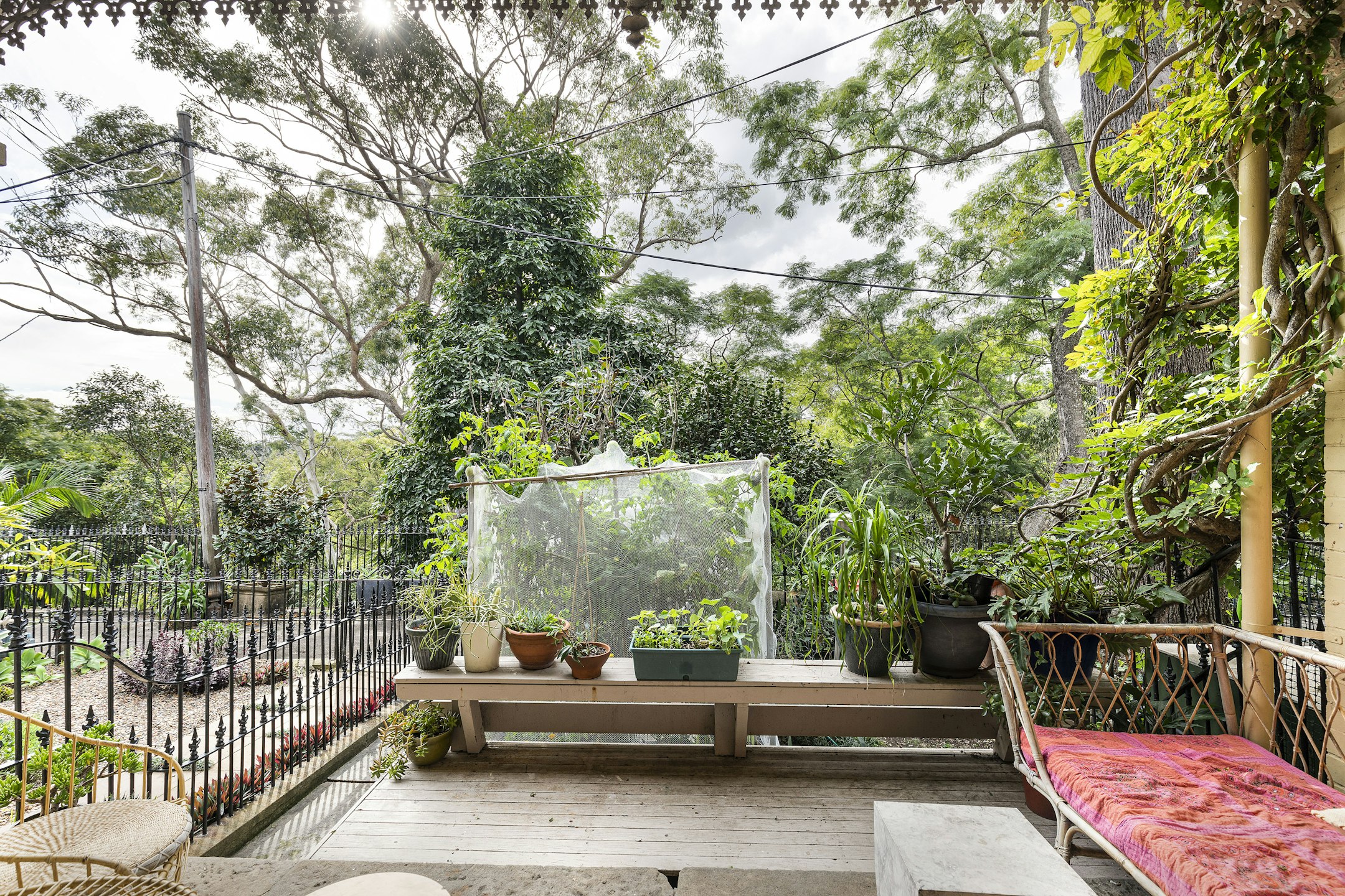 garden