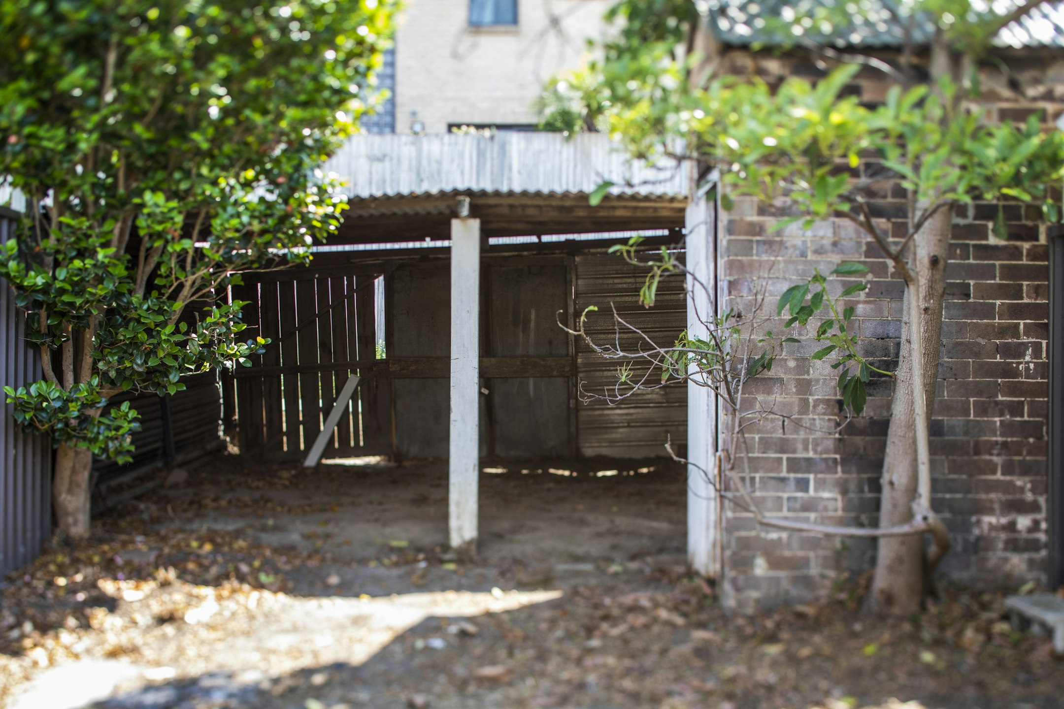 garden