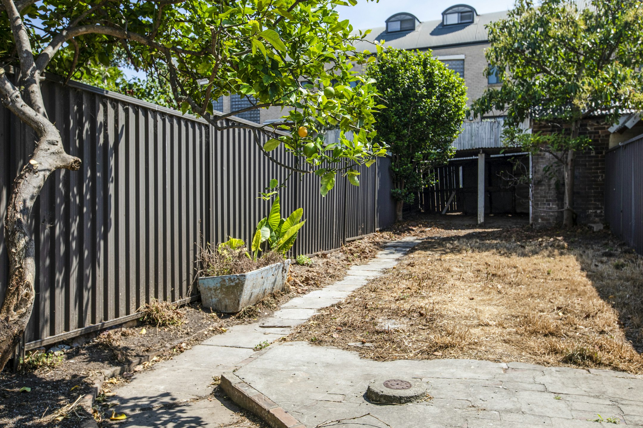 backyard