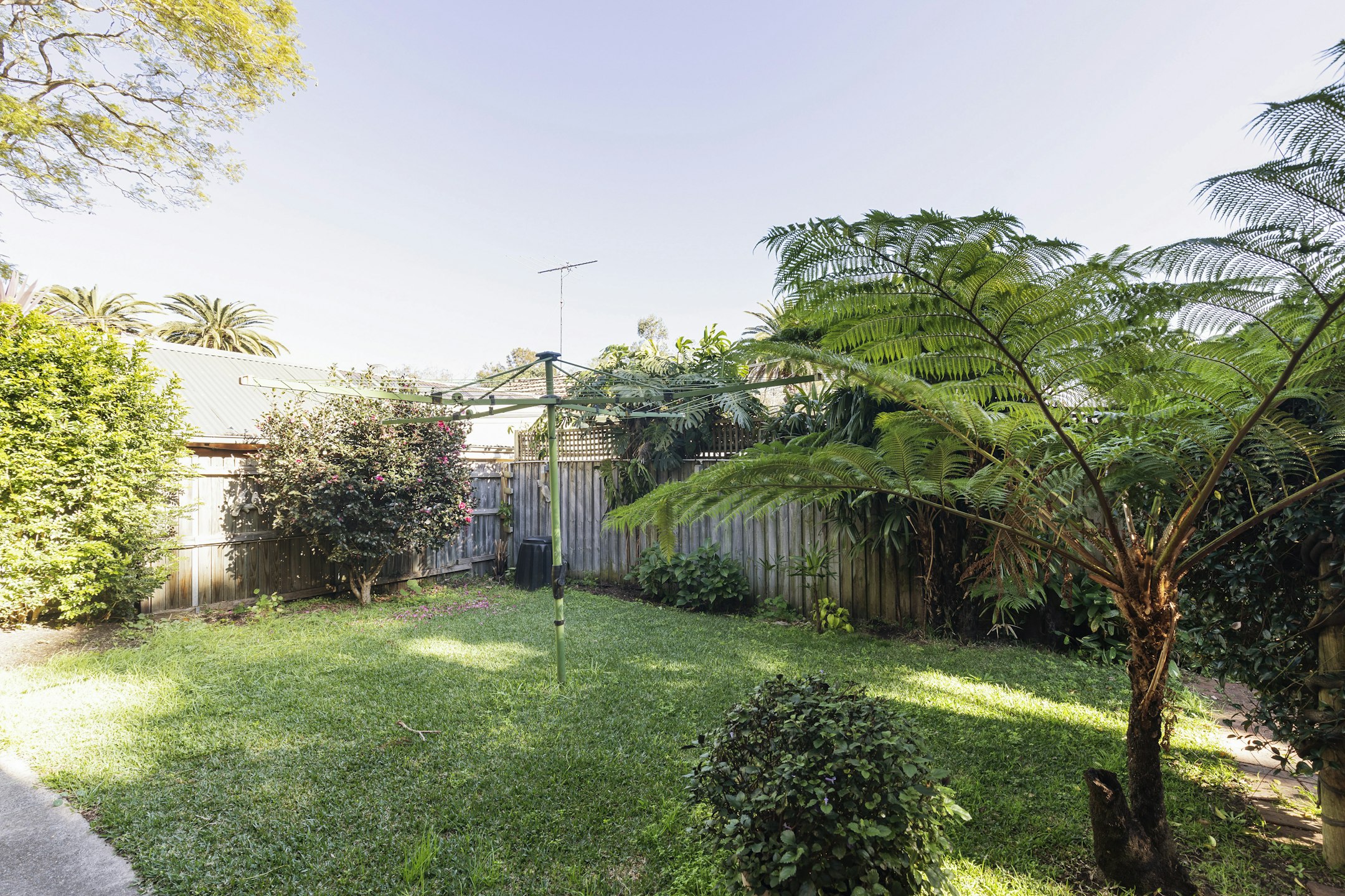 garden
