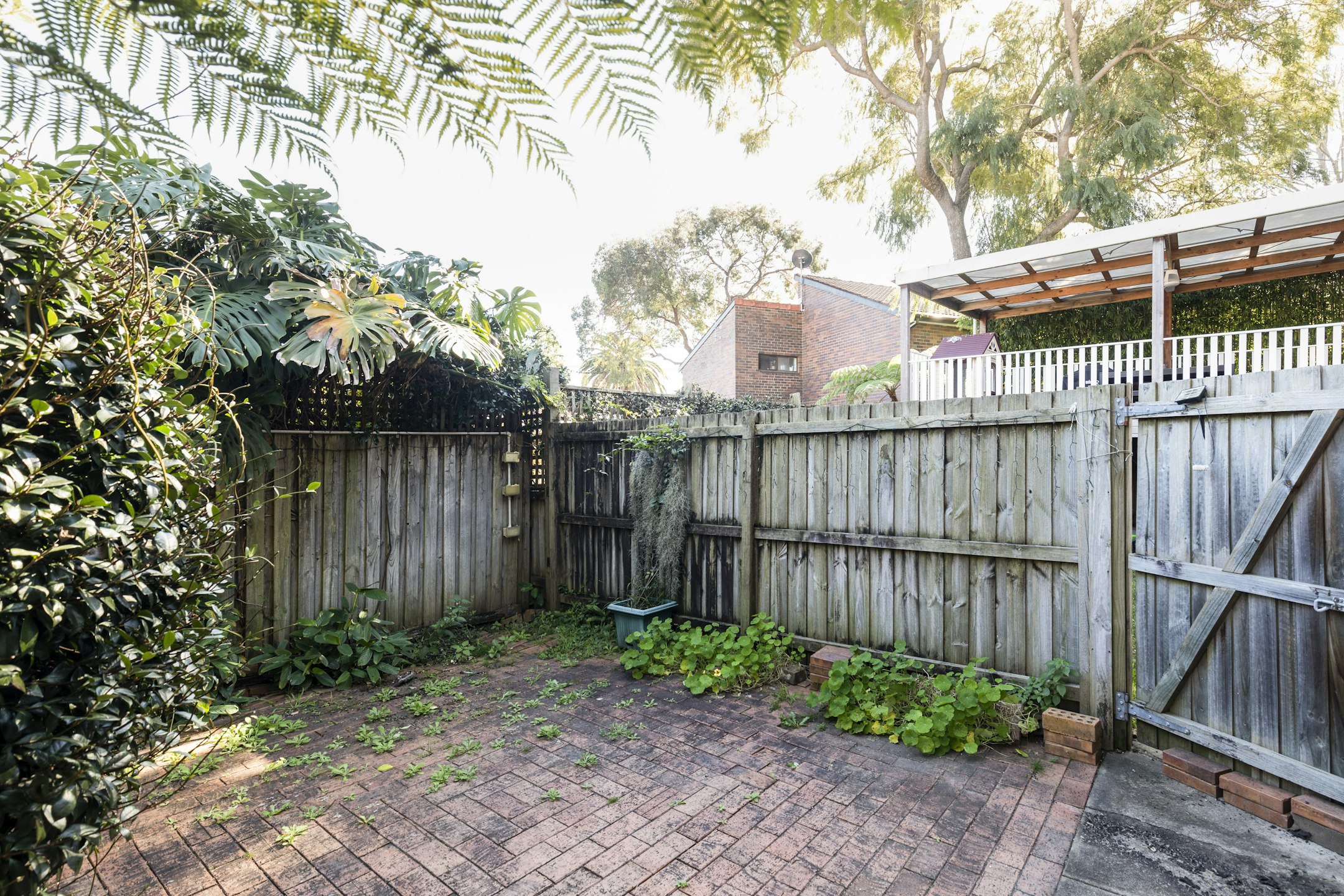 backyard