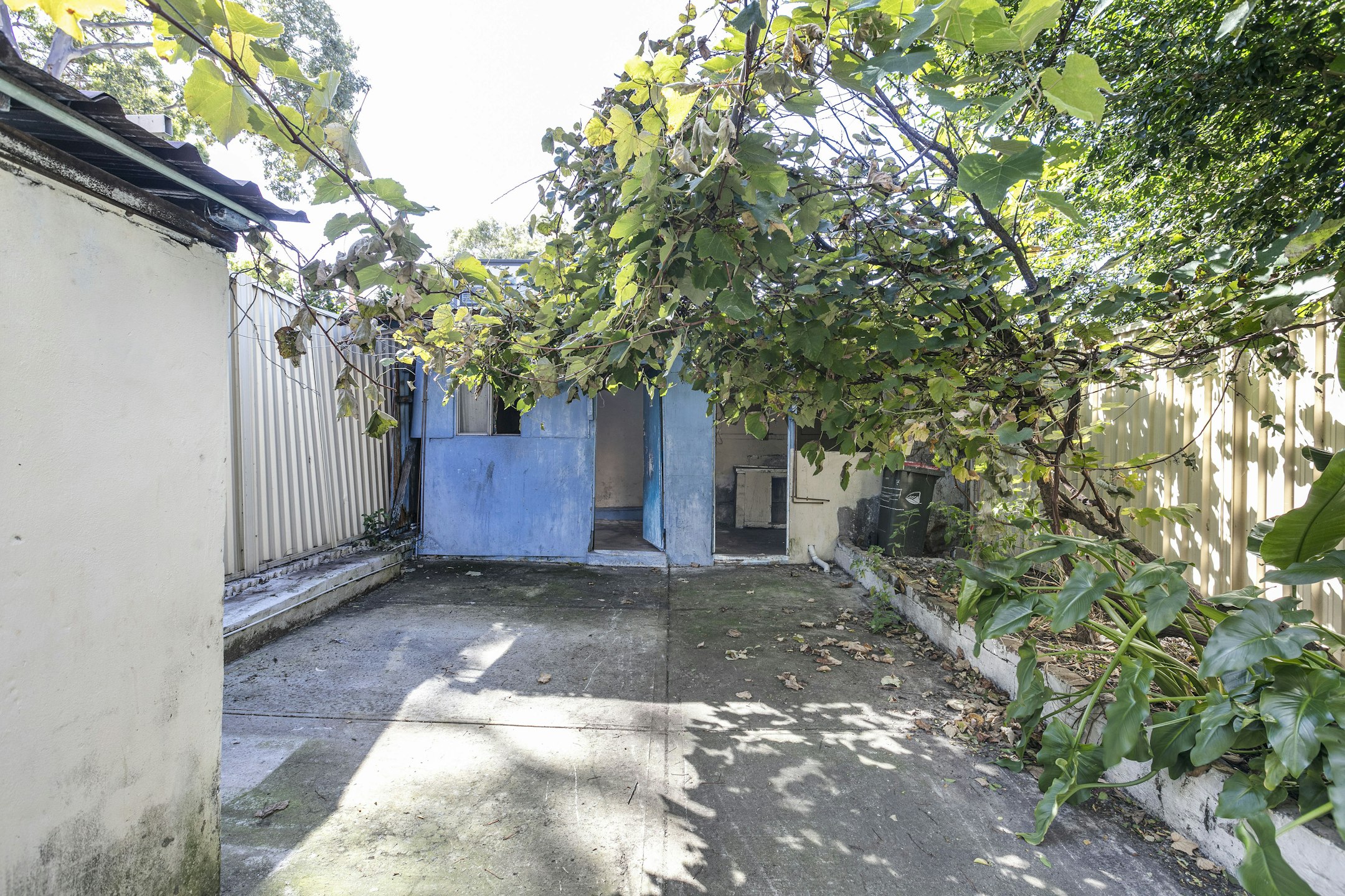 garden