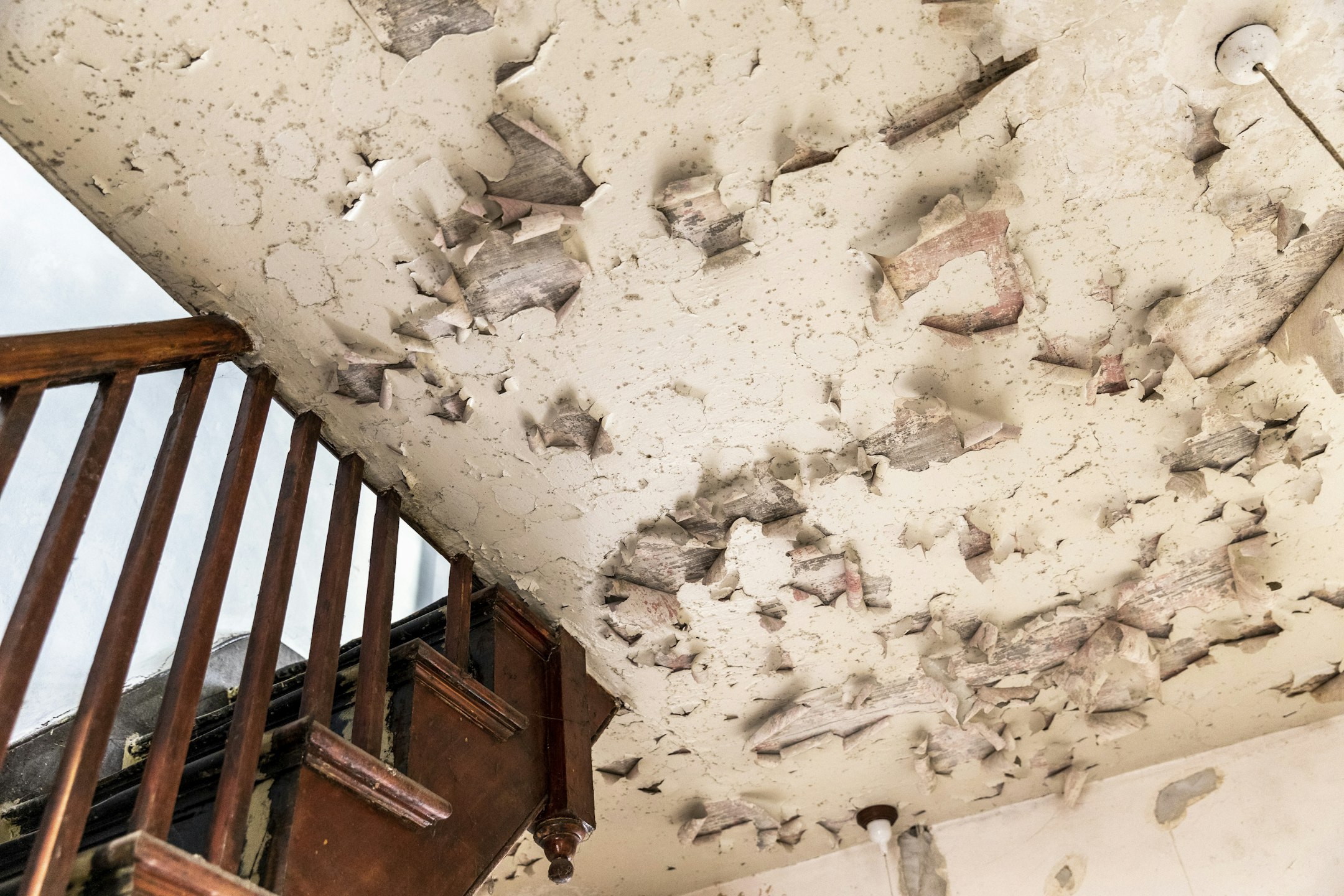 mold