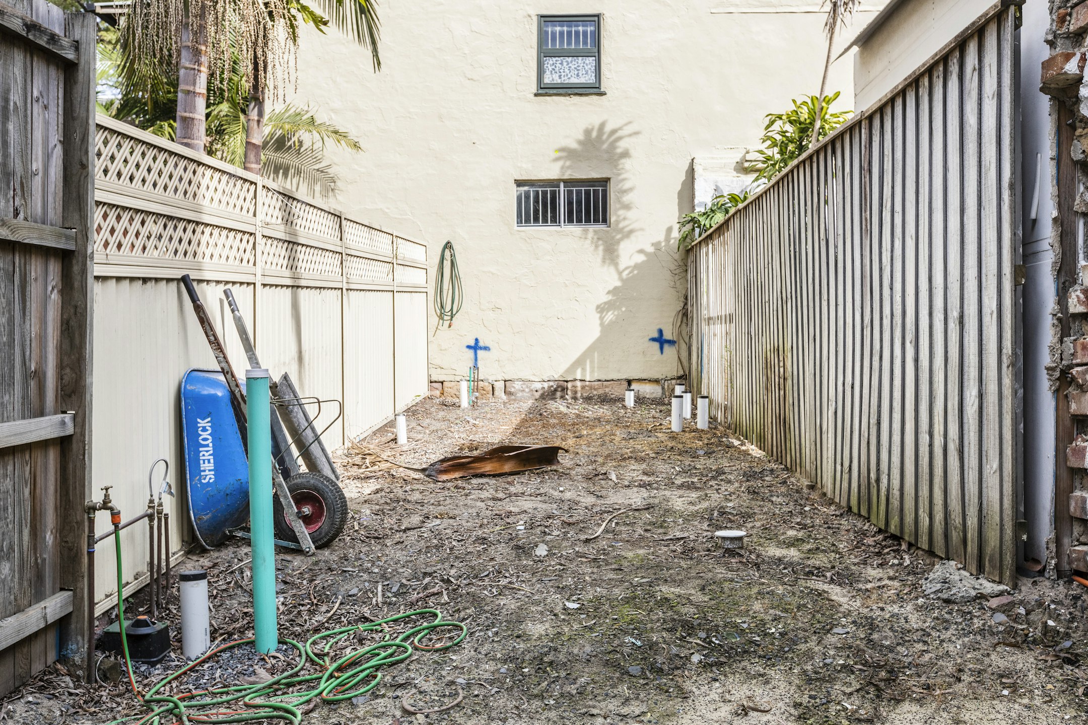 backyard