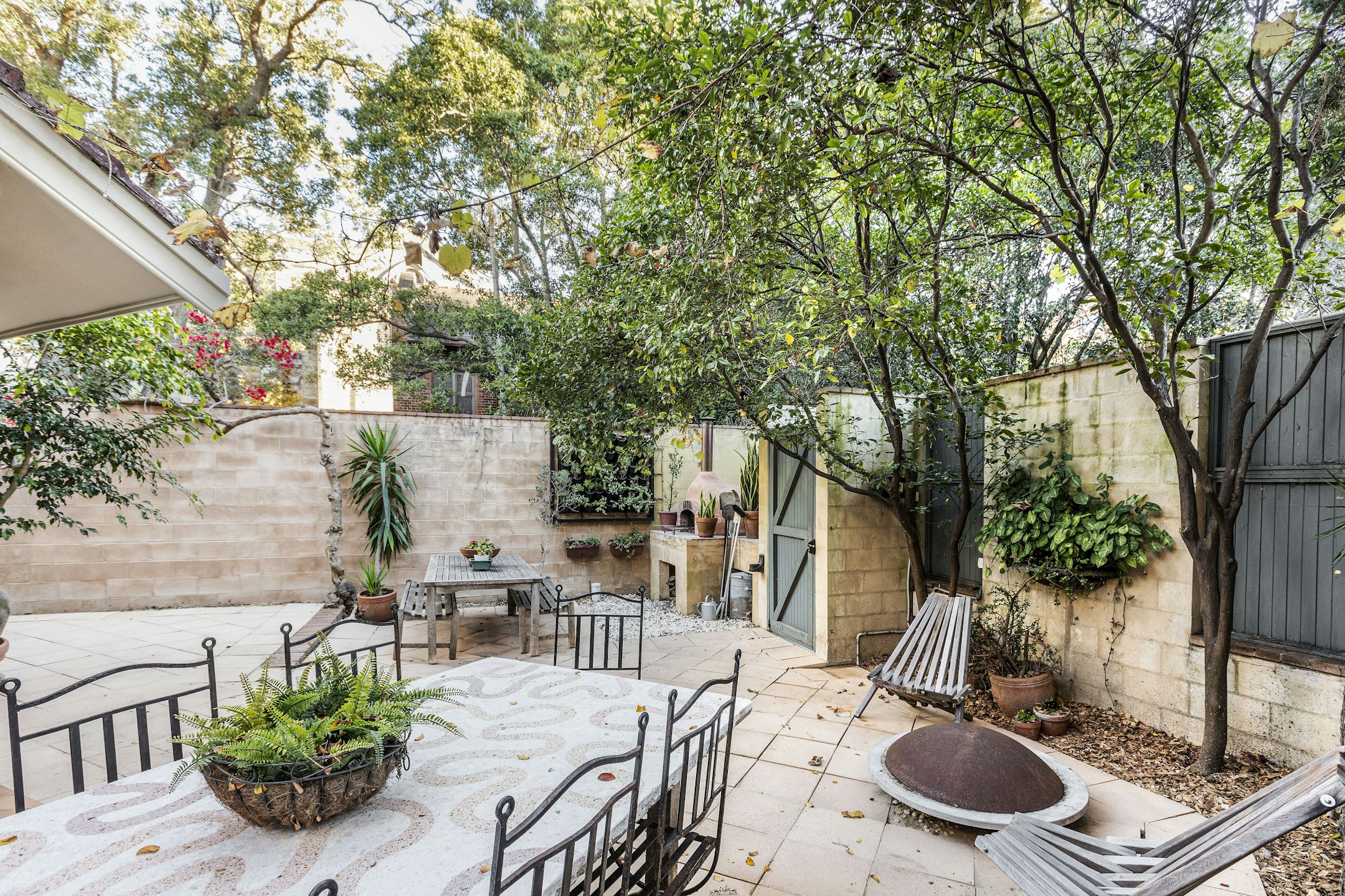 backyard