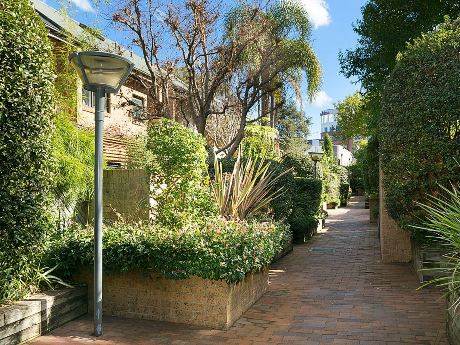 garden