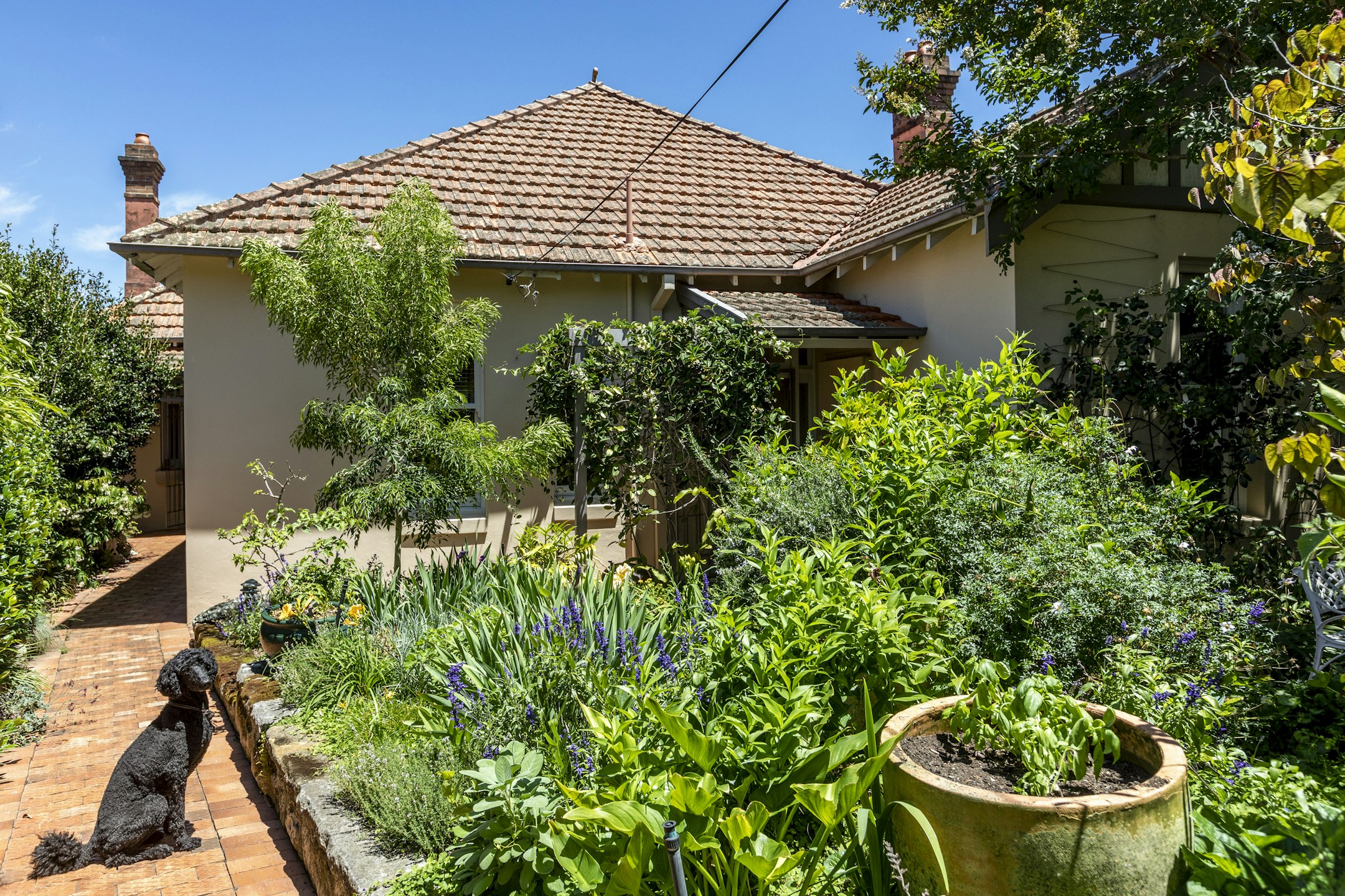 garden