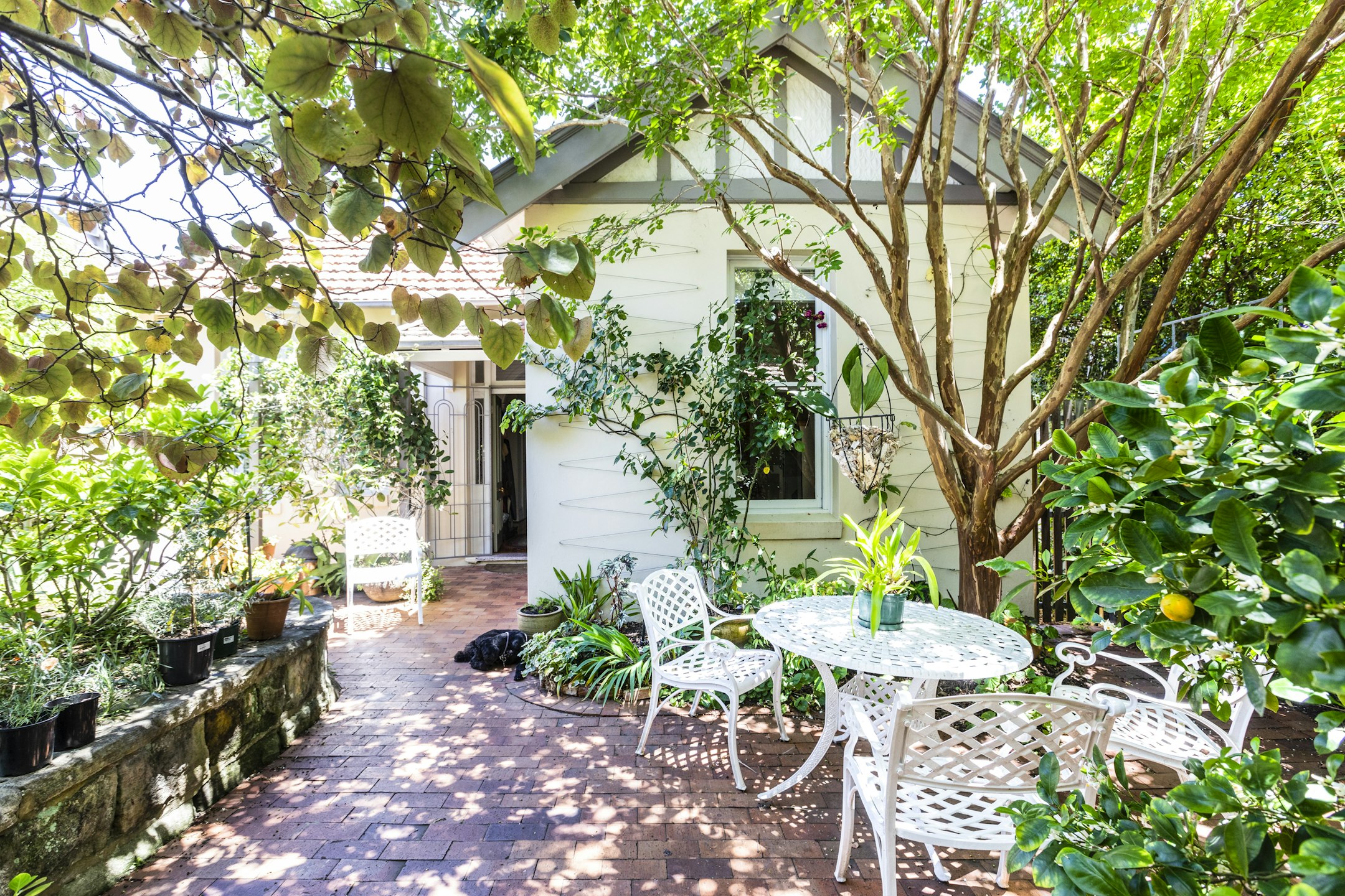 garden