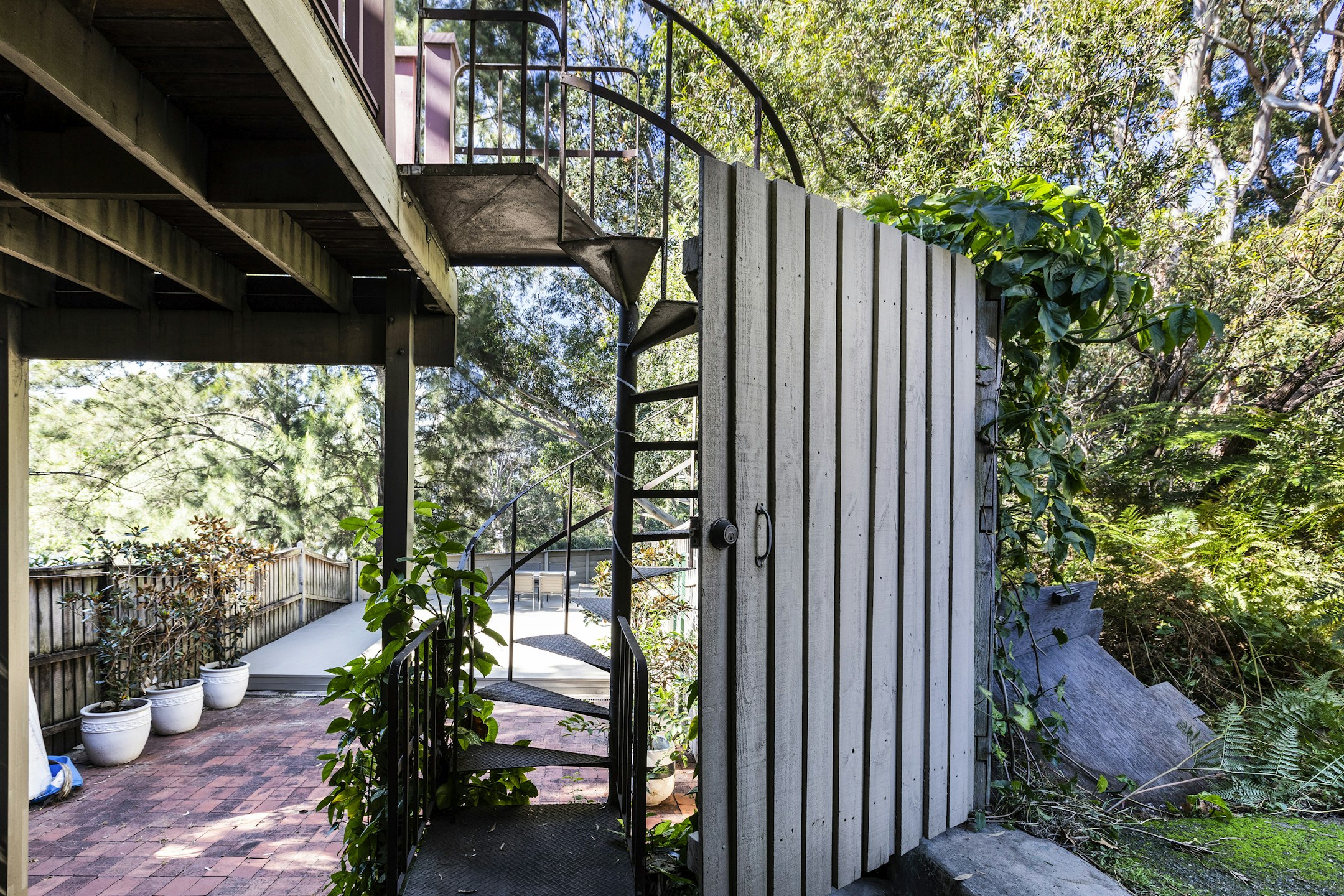 garden