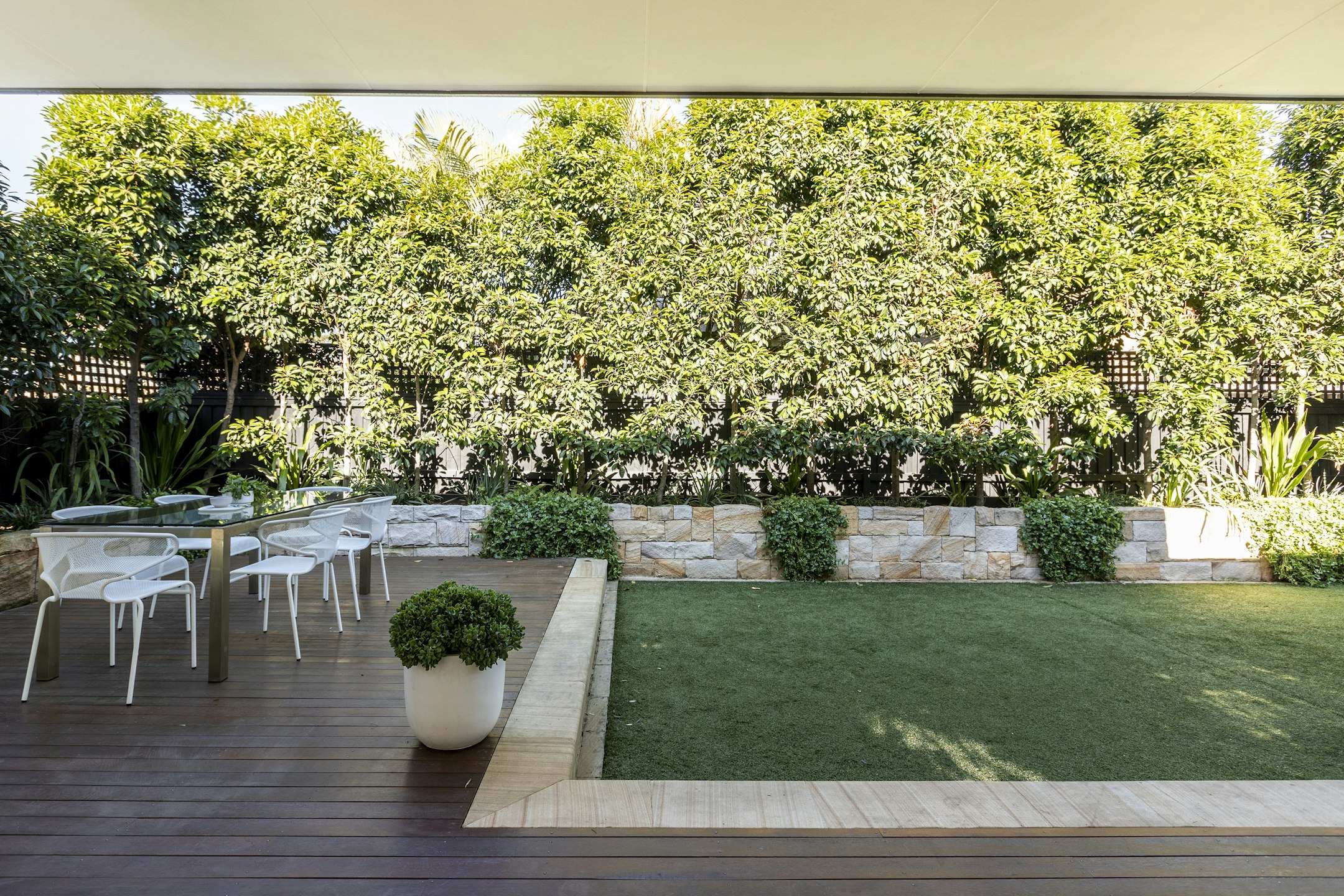 backyard