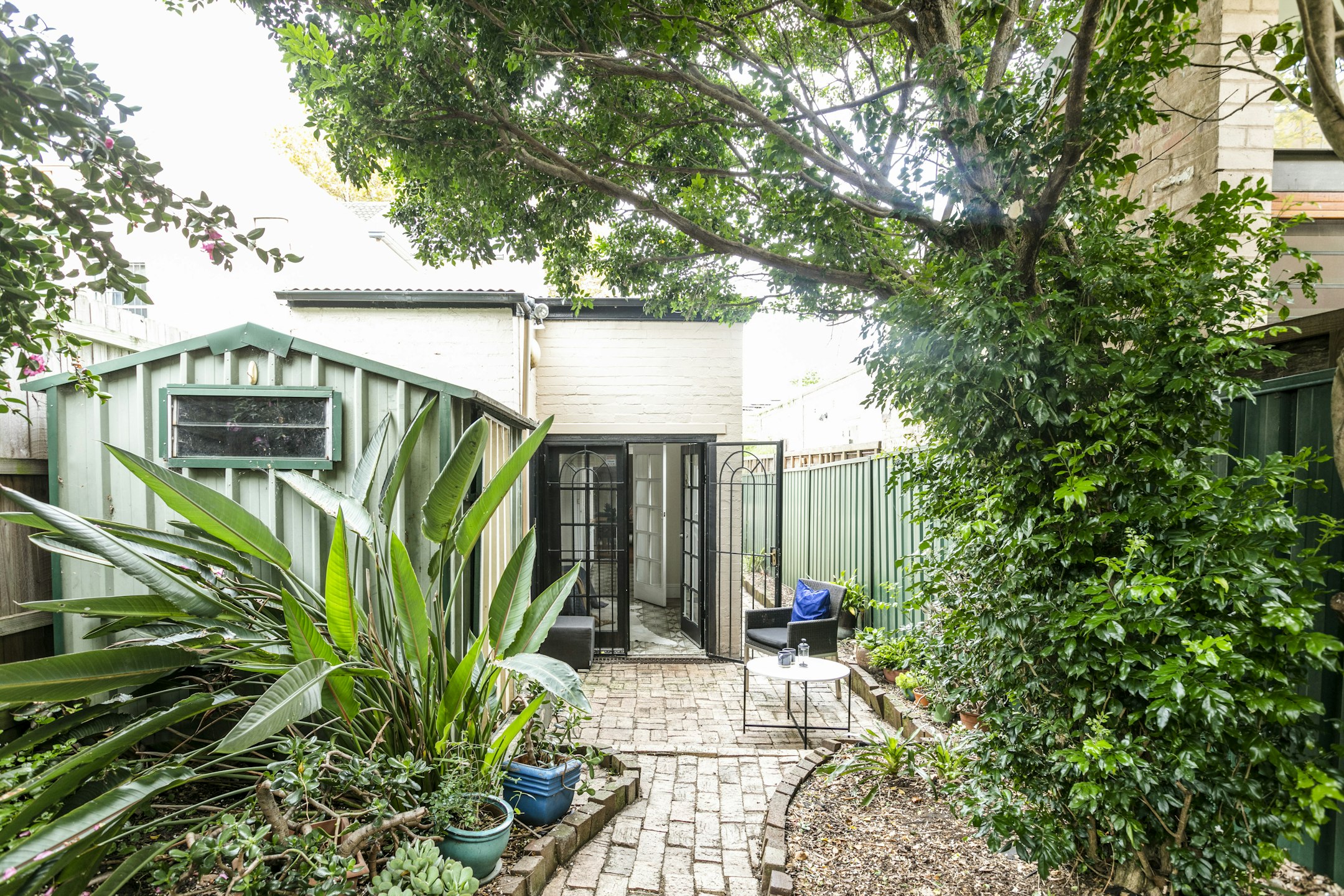 garden
