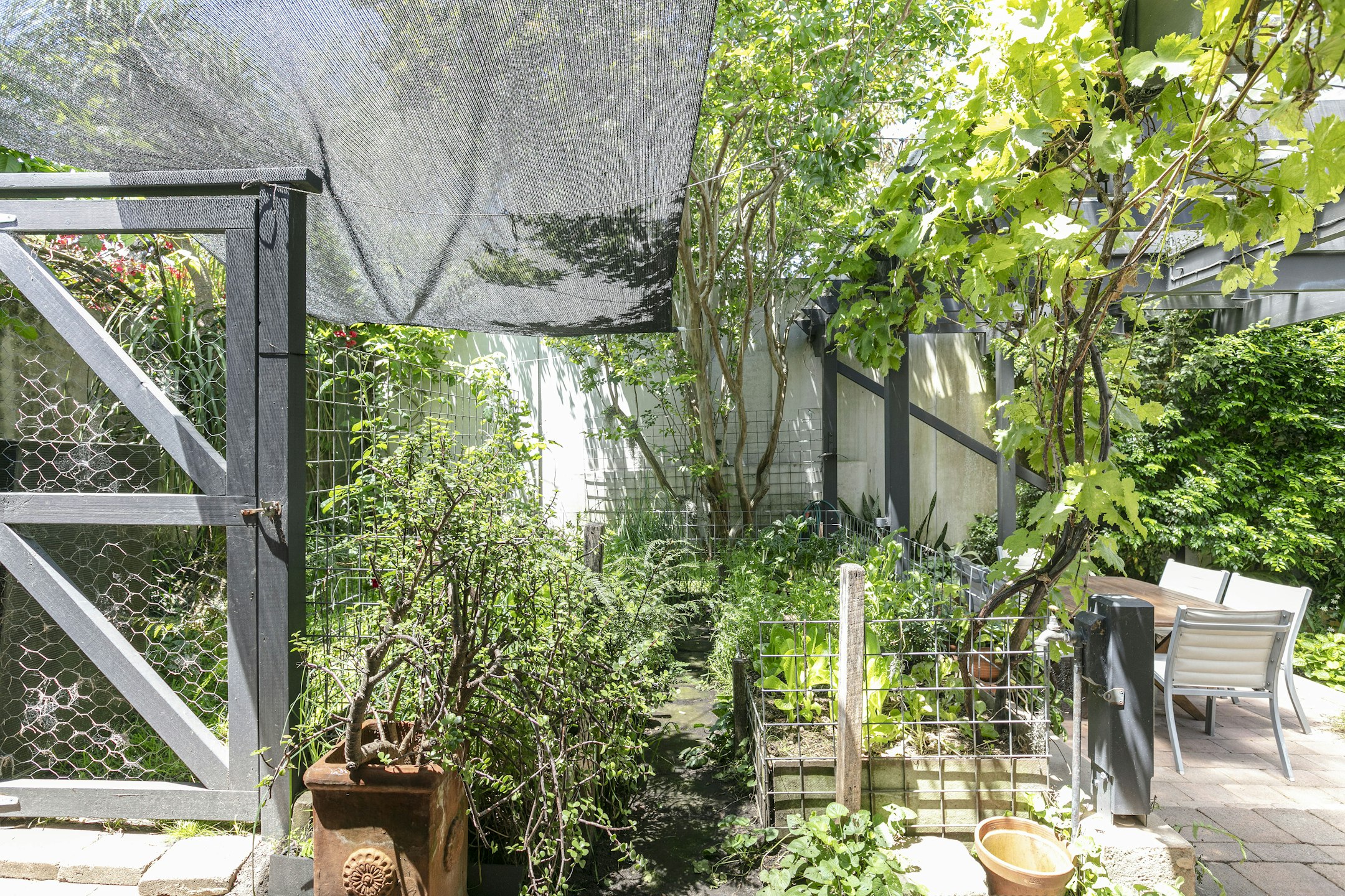 garden