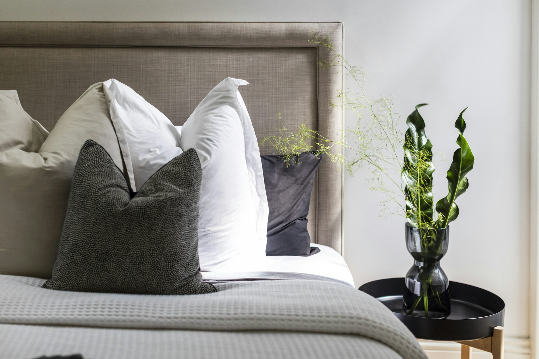 cushion