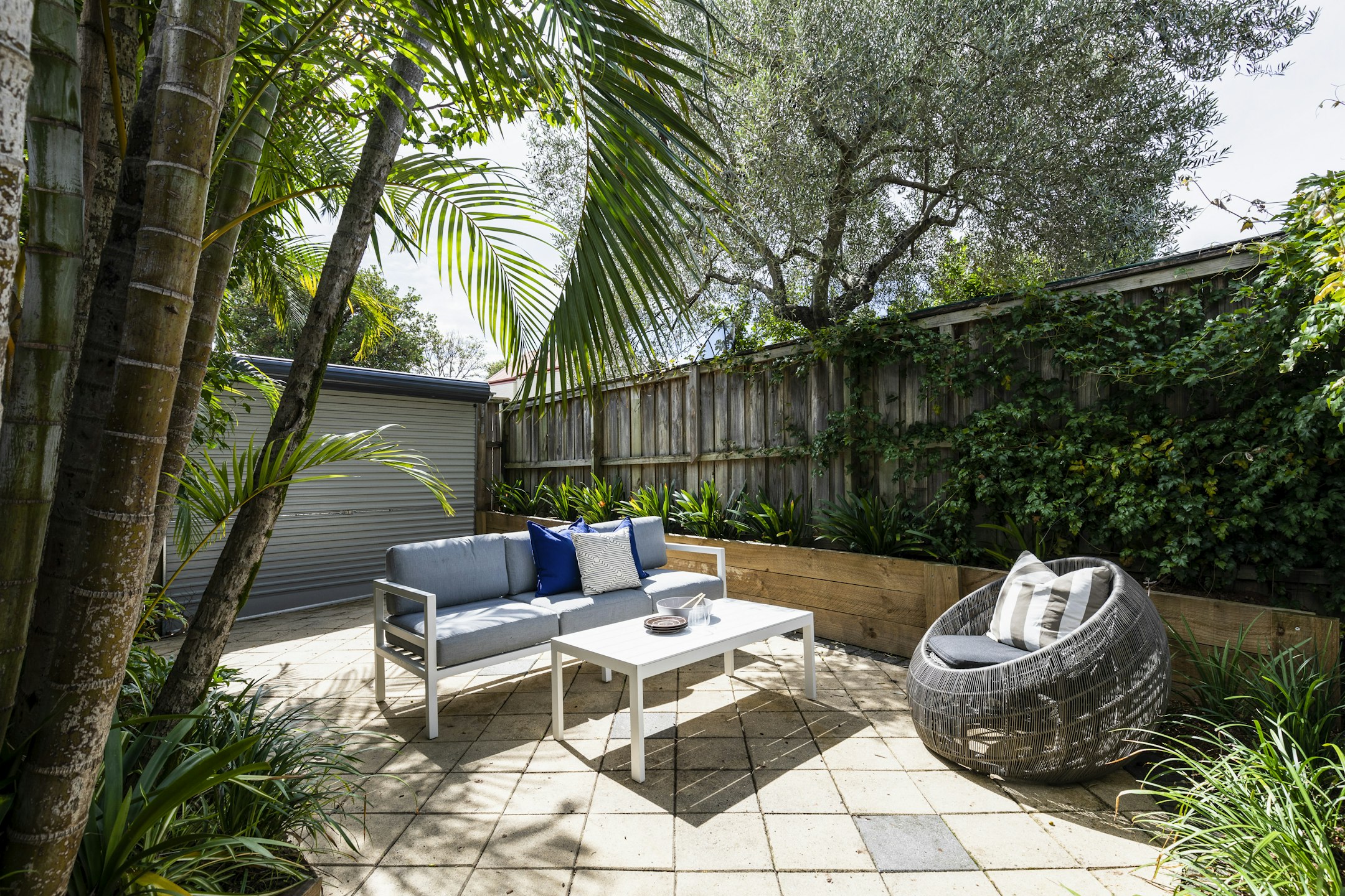 backyard