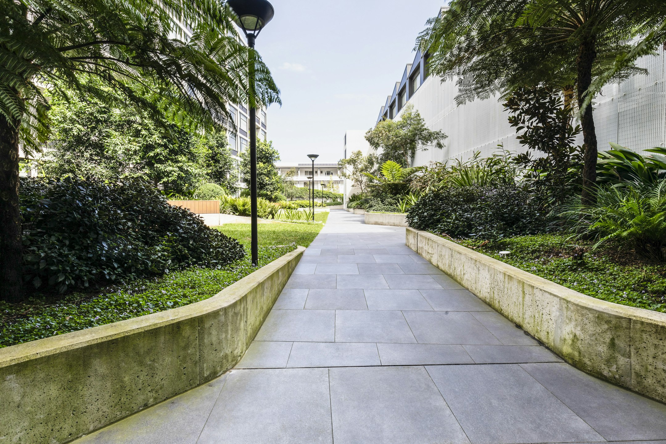 path