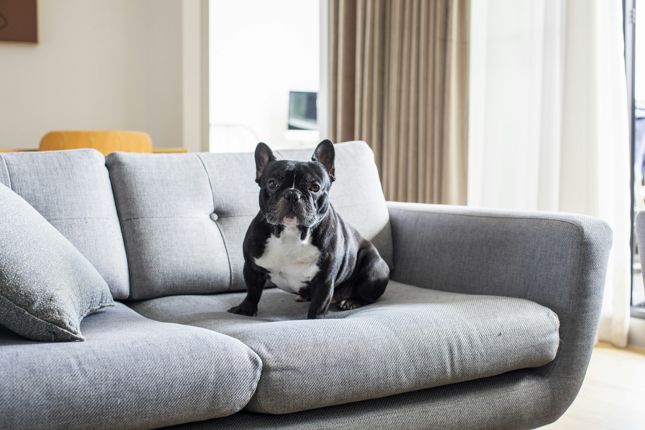 couch