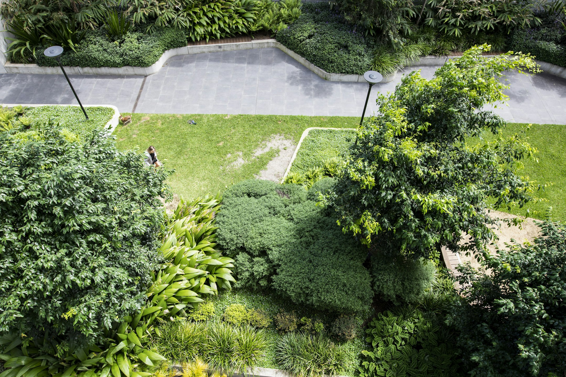 garden