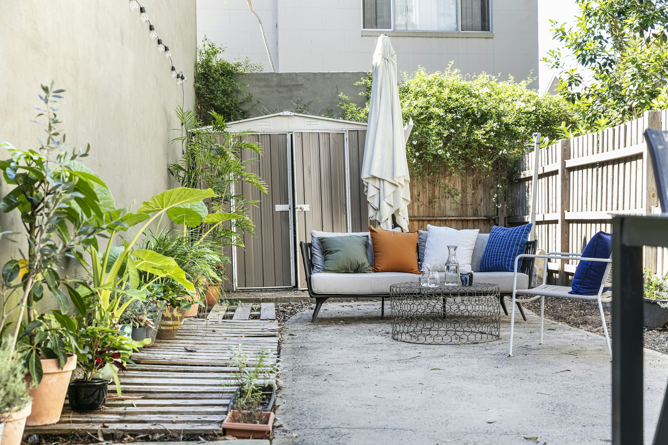backyard