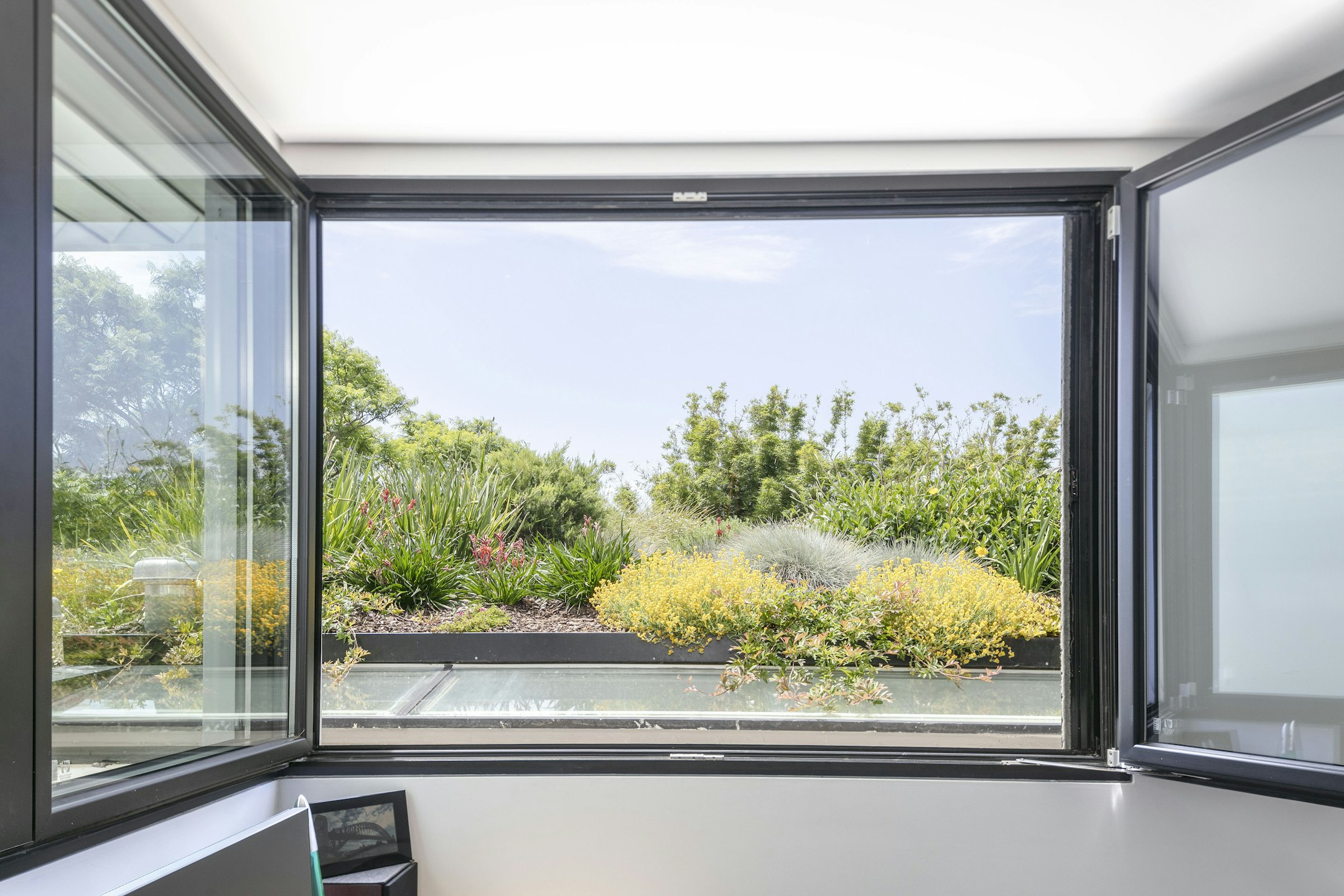 window