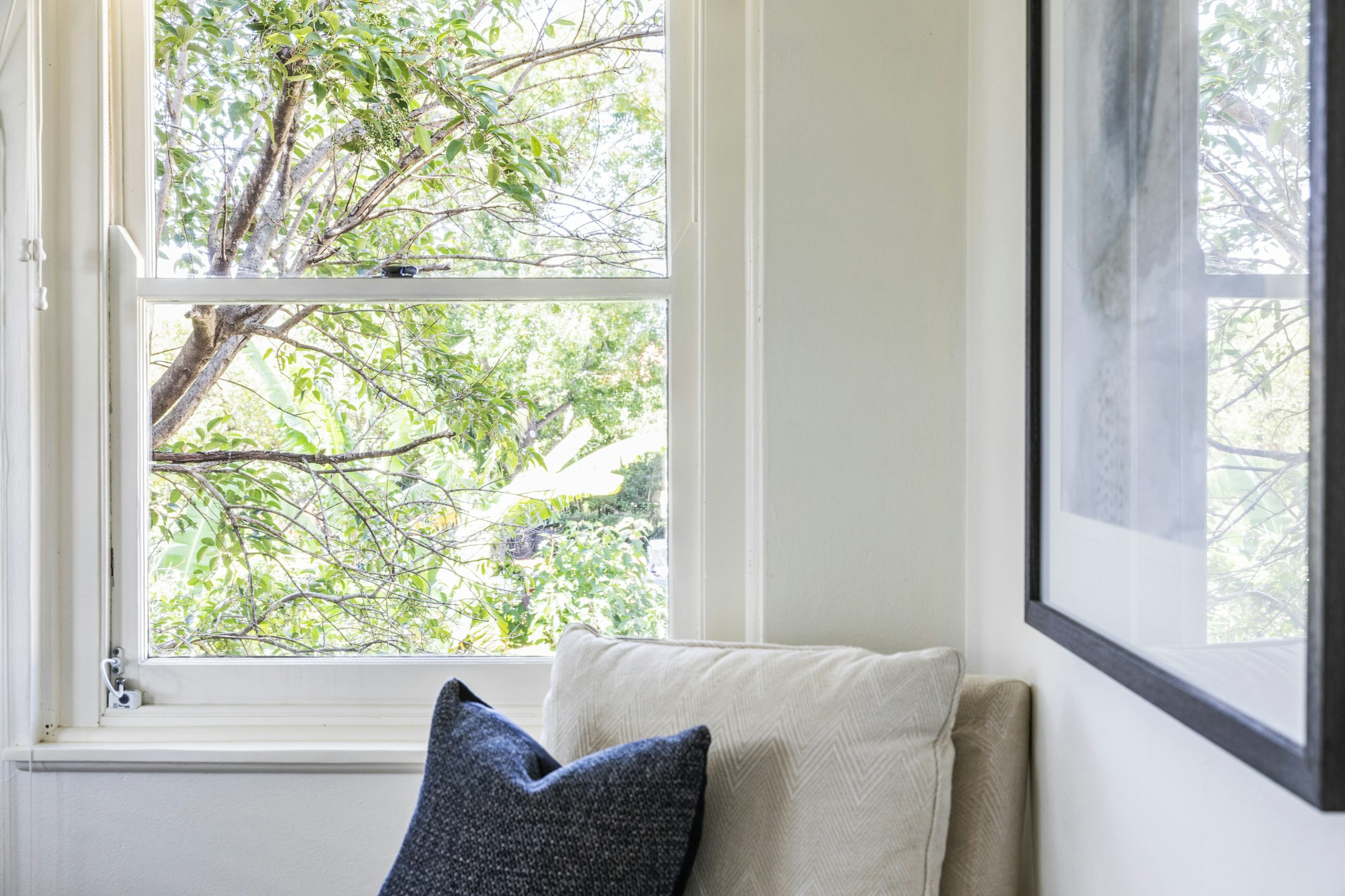 window
