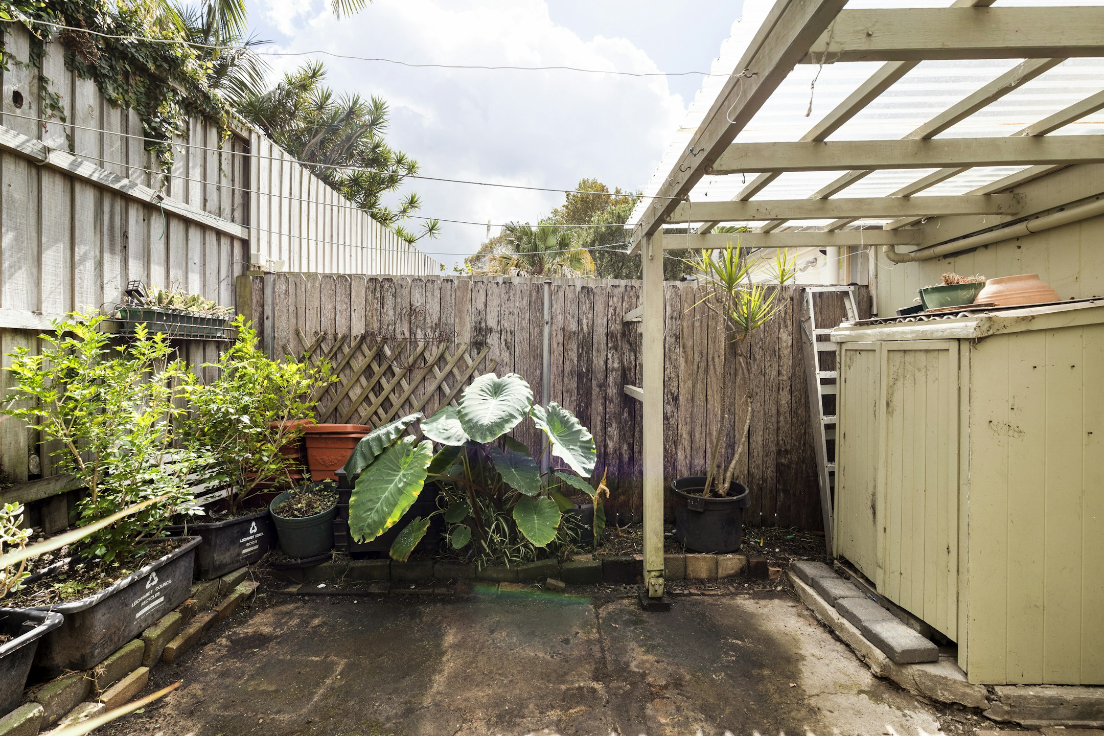 garden