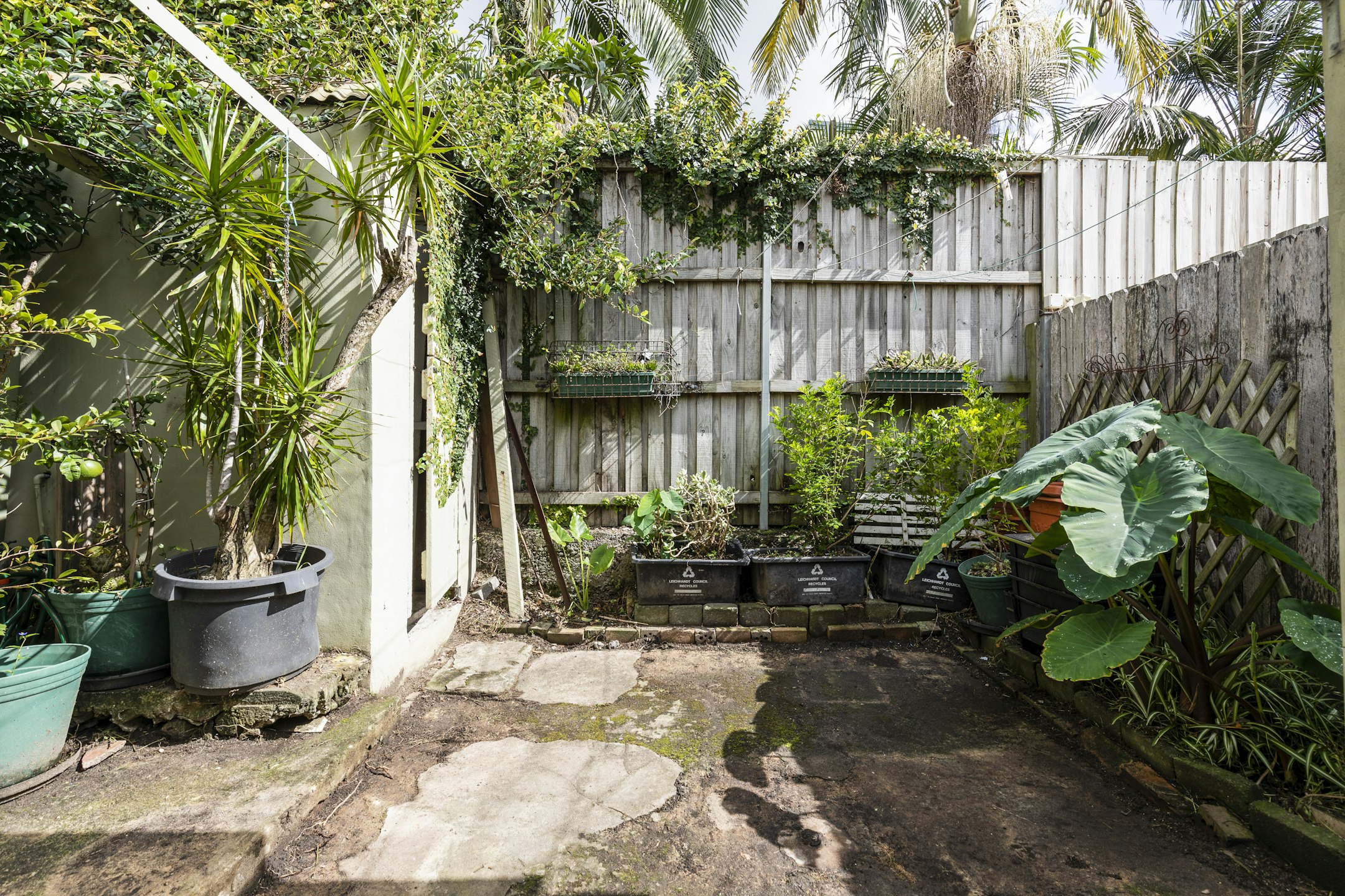 garden
