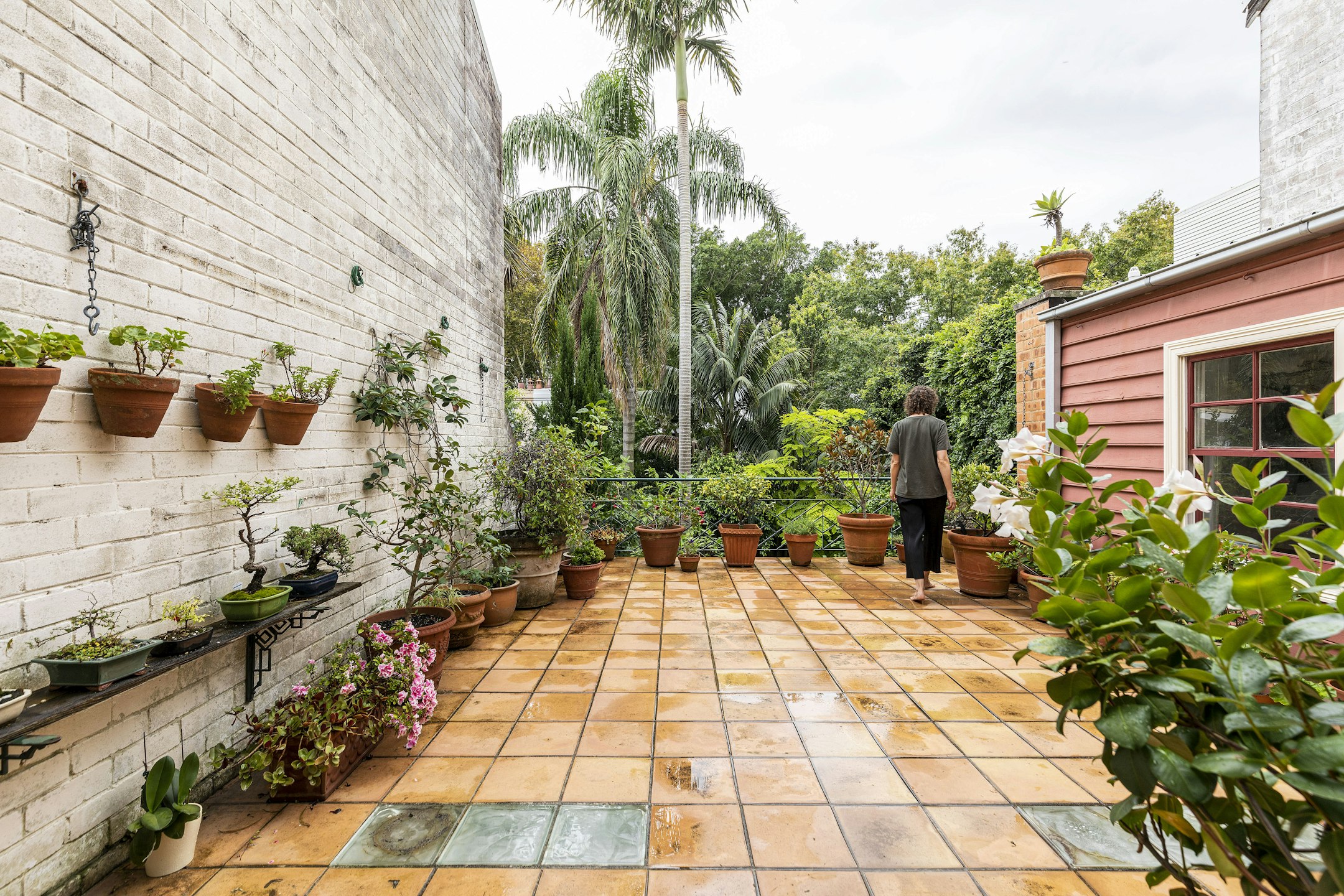garden