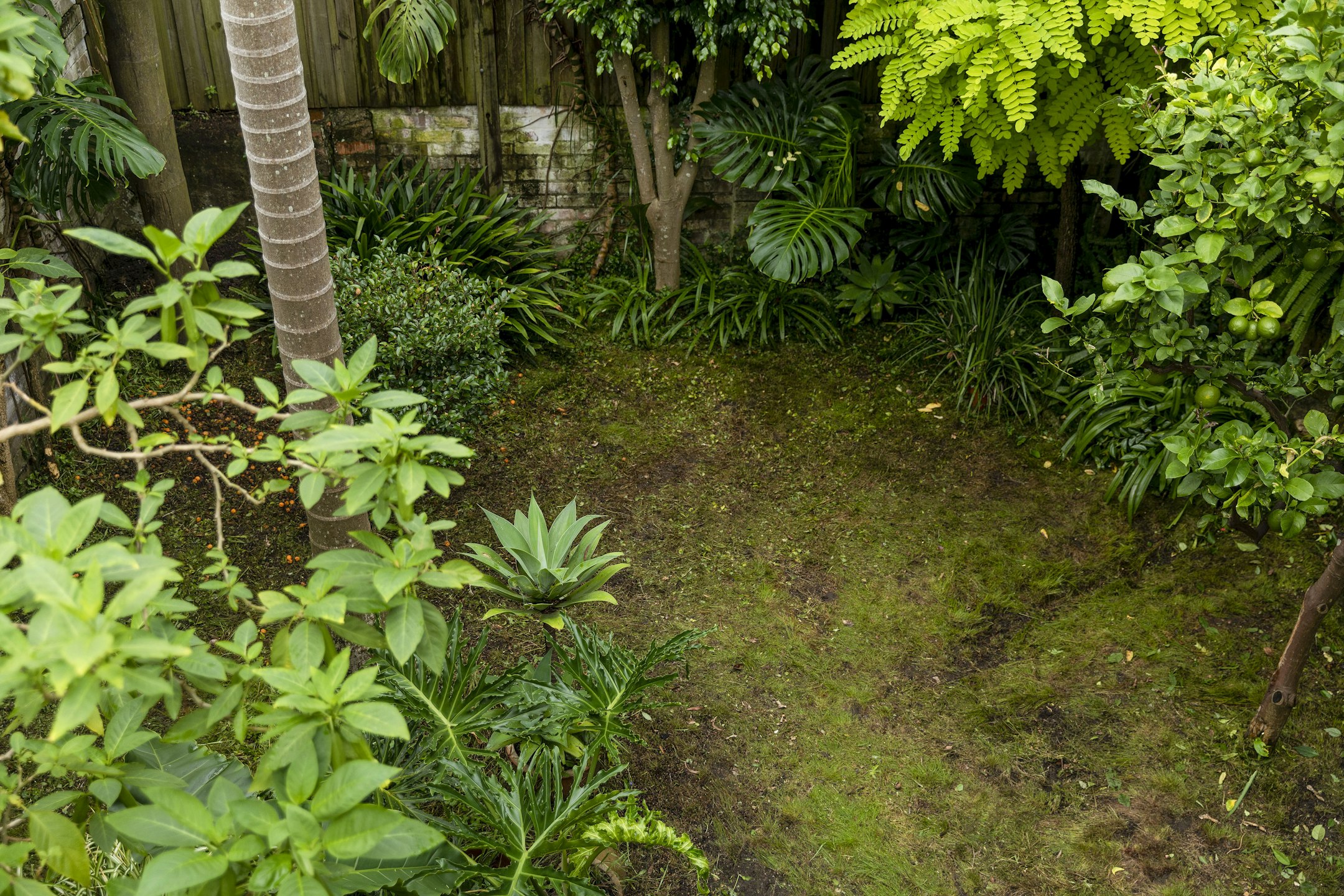 garden