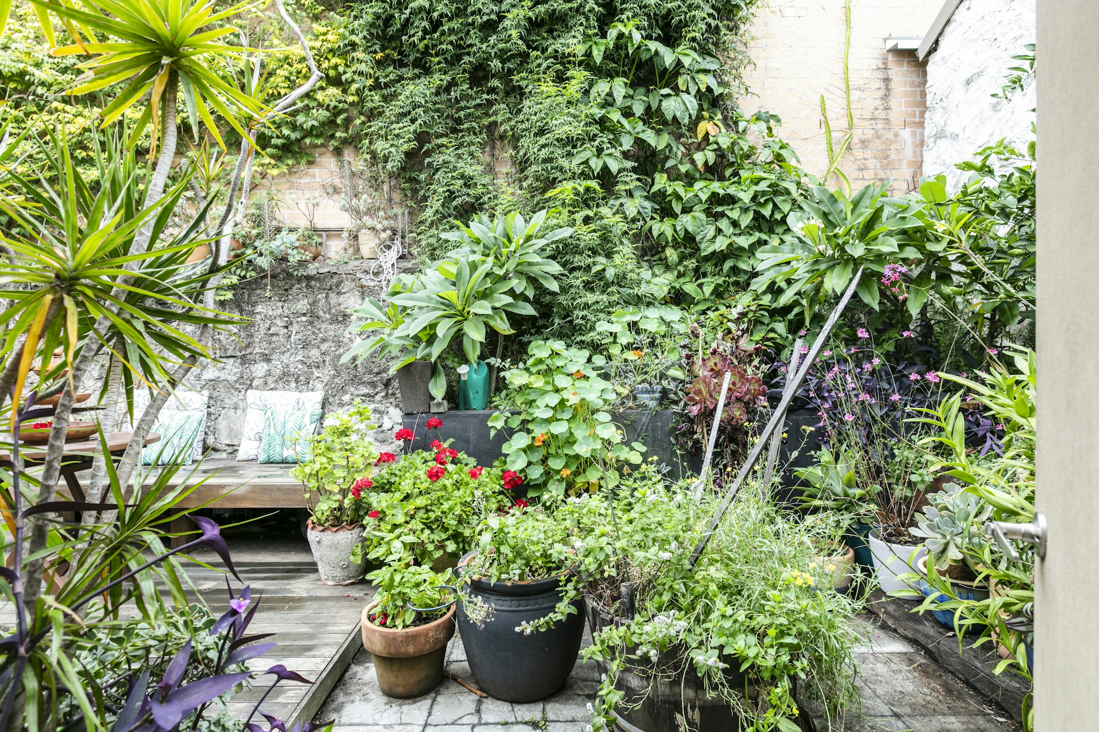 garden