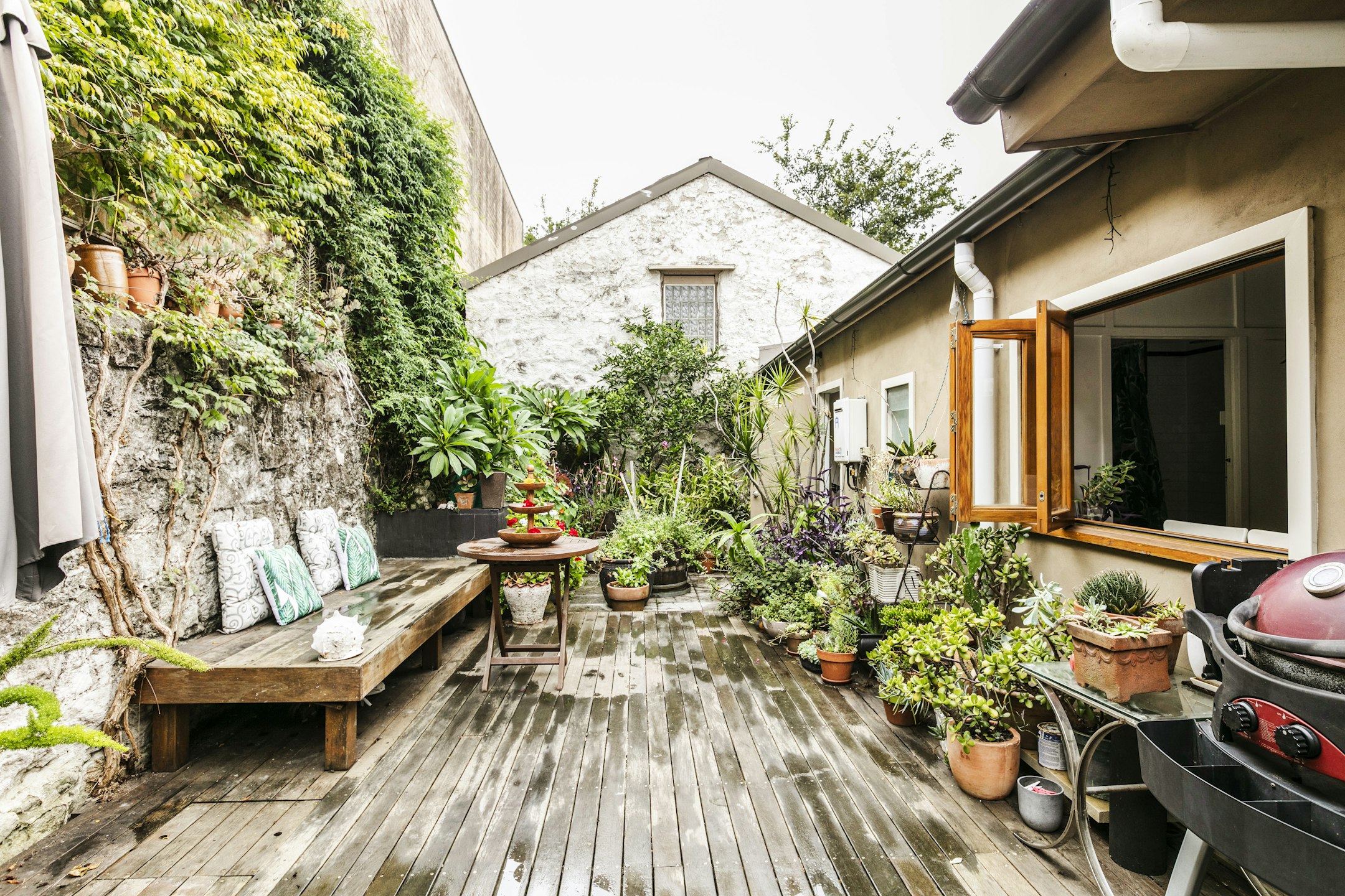 garden