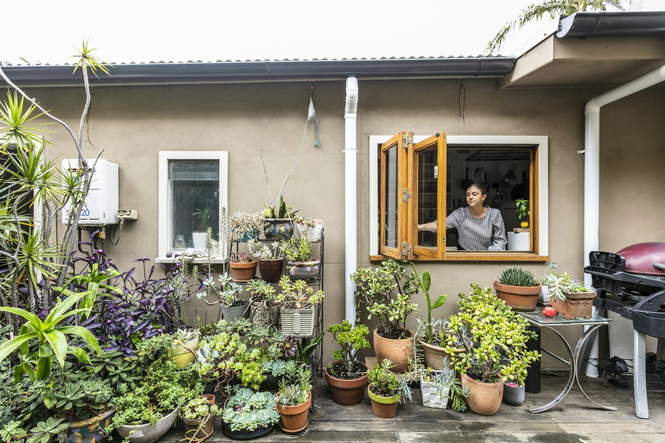 garden