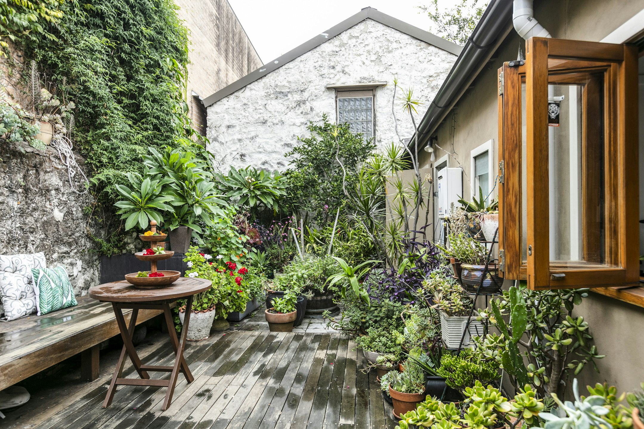 garden