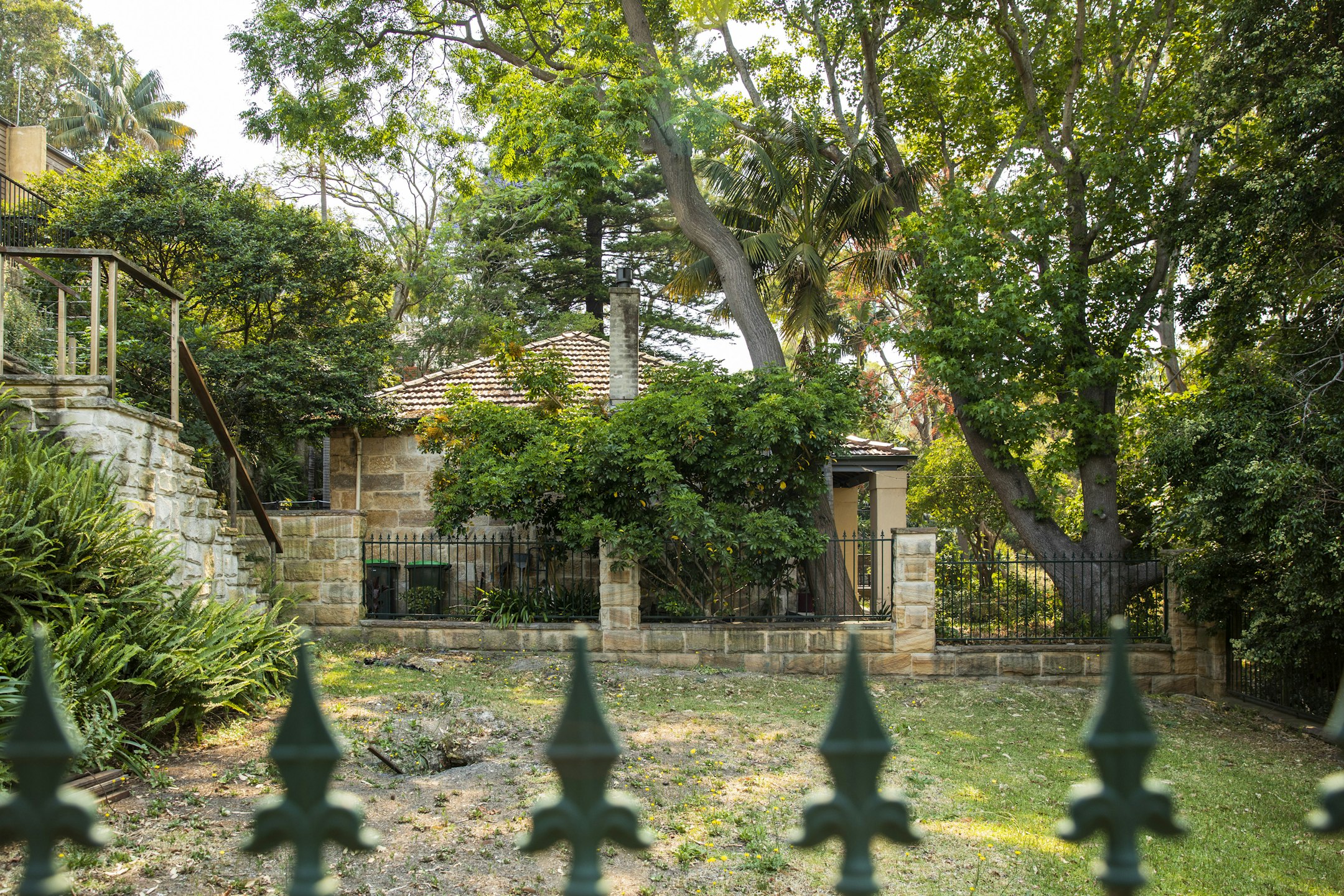 garden