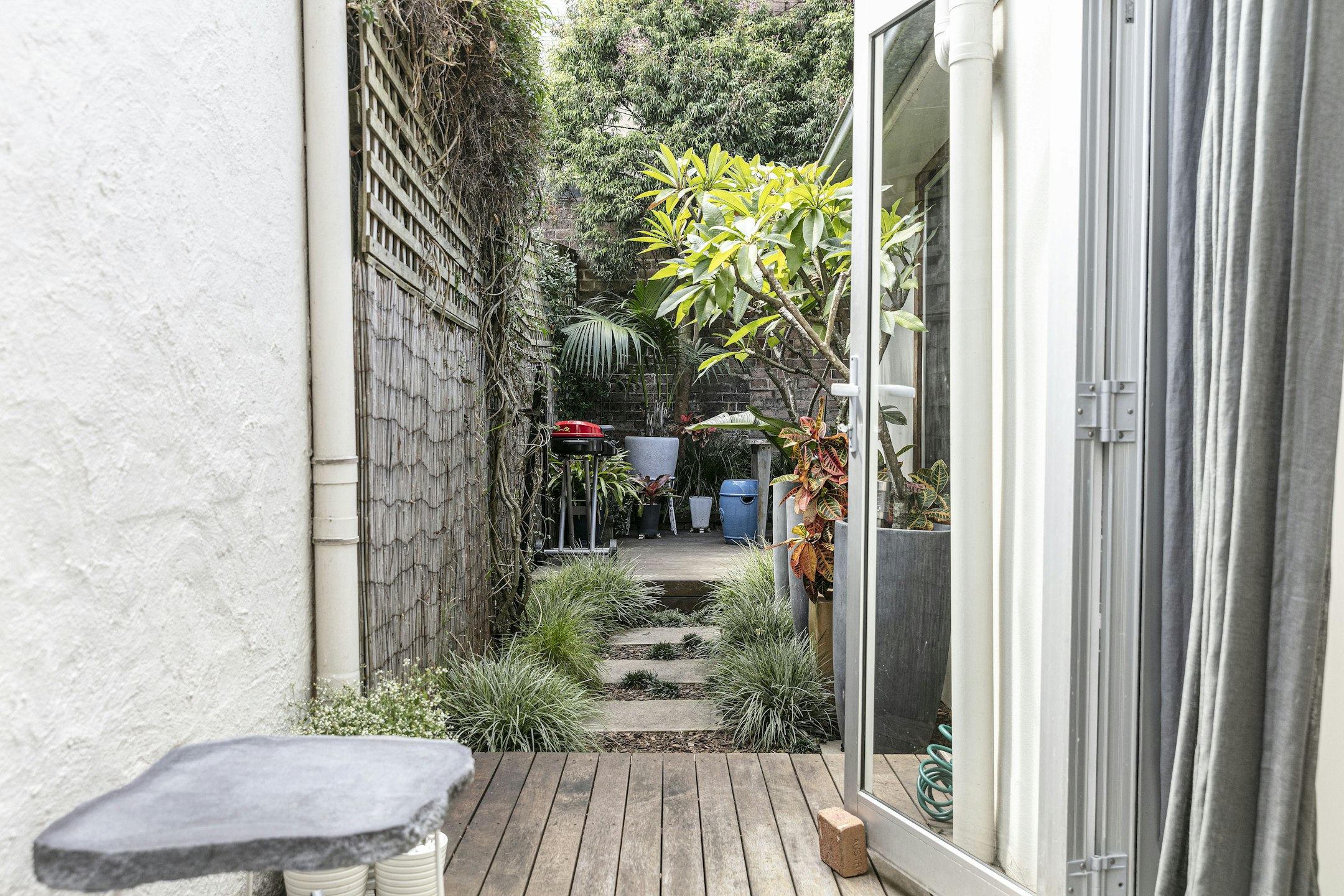 garden