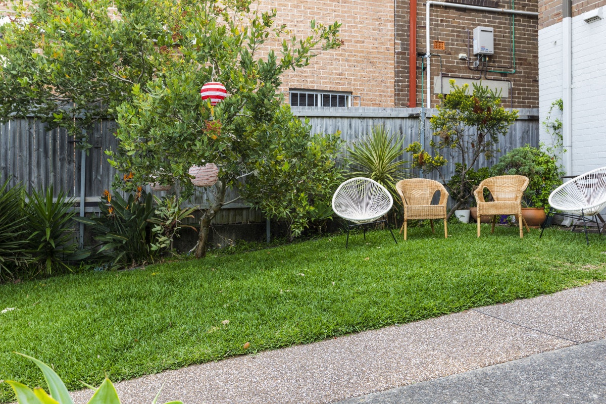 backyard
