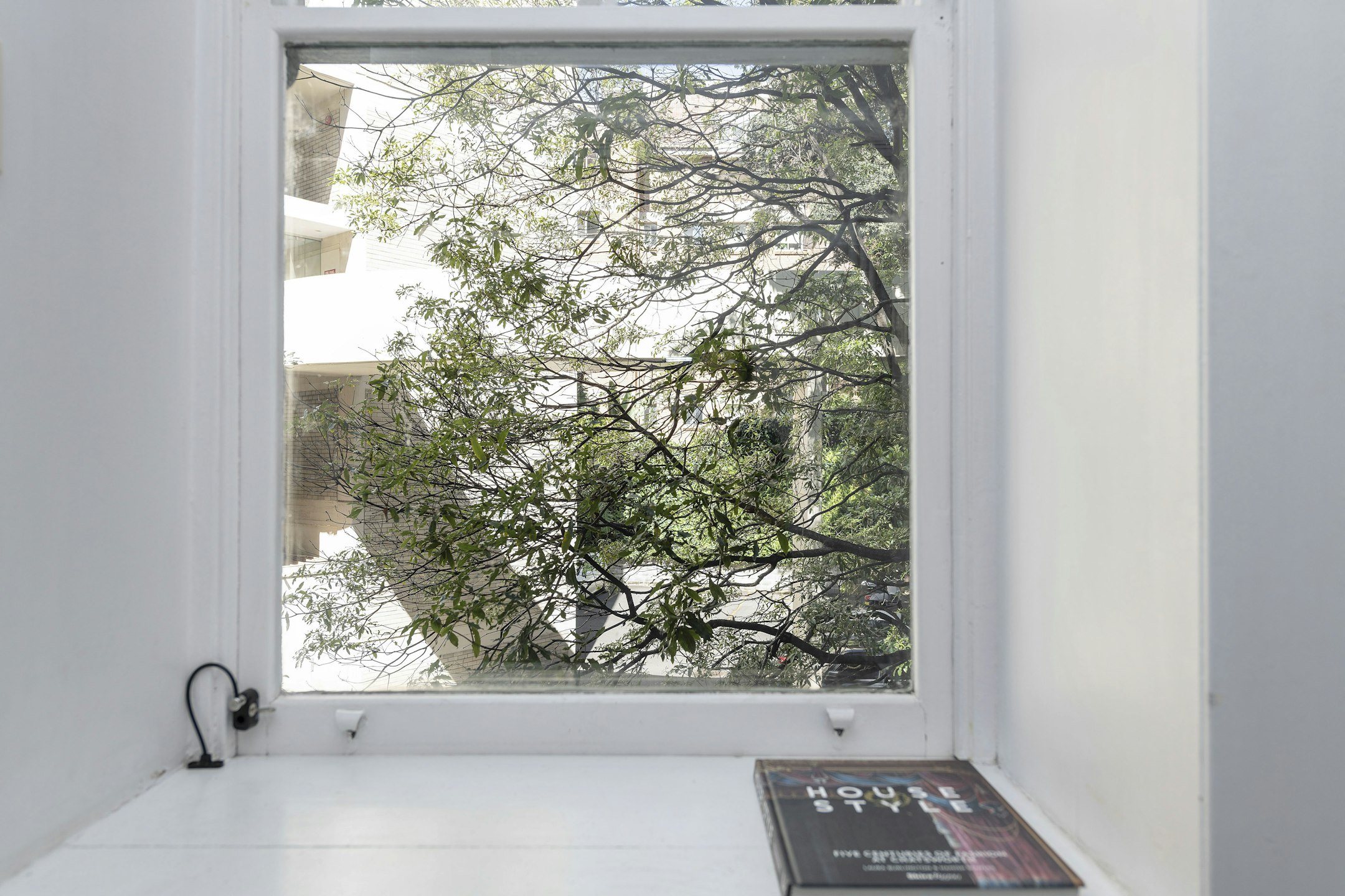window