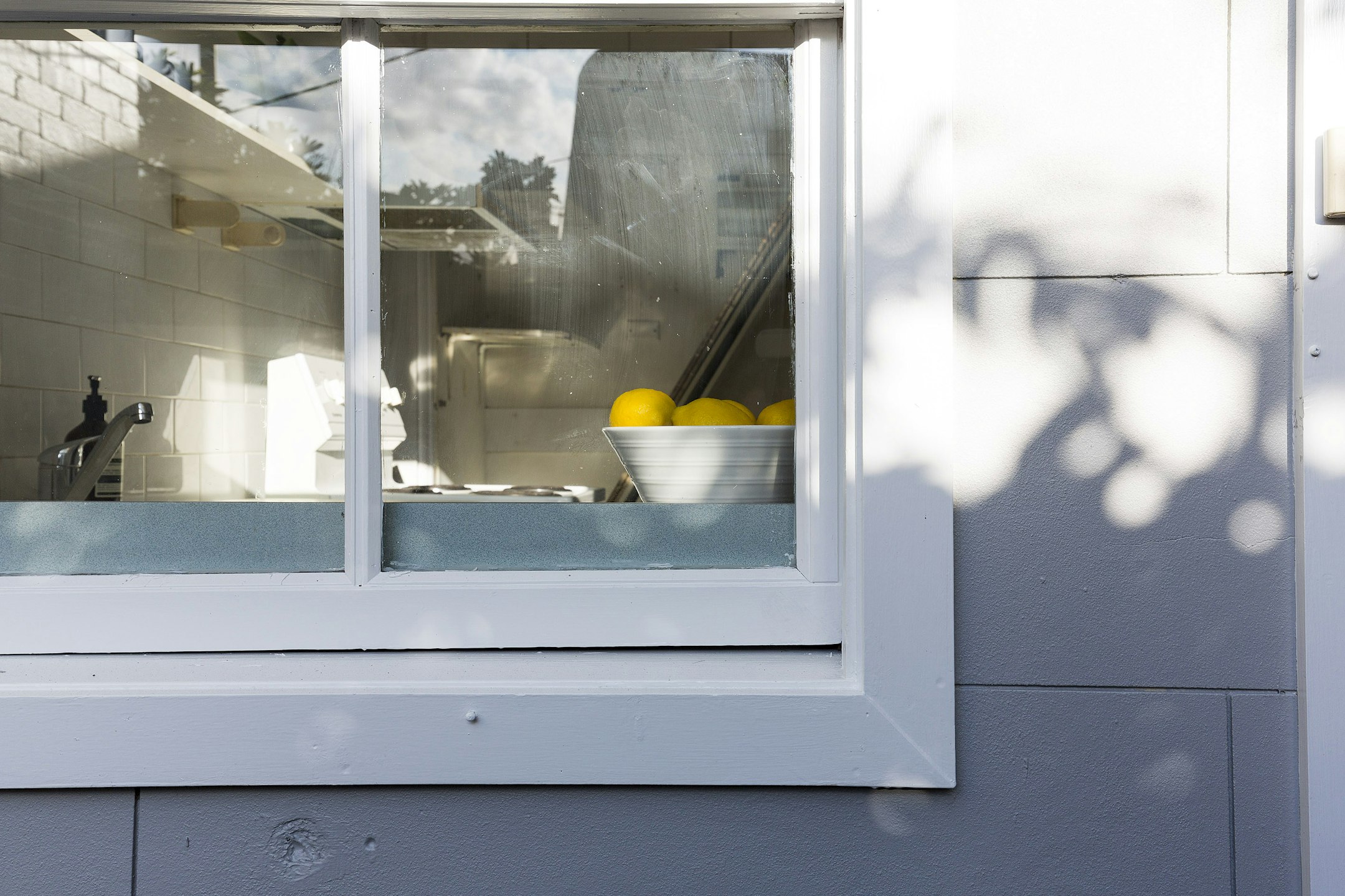 window
