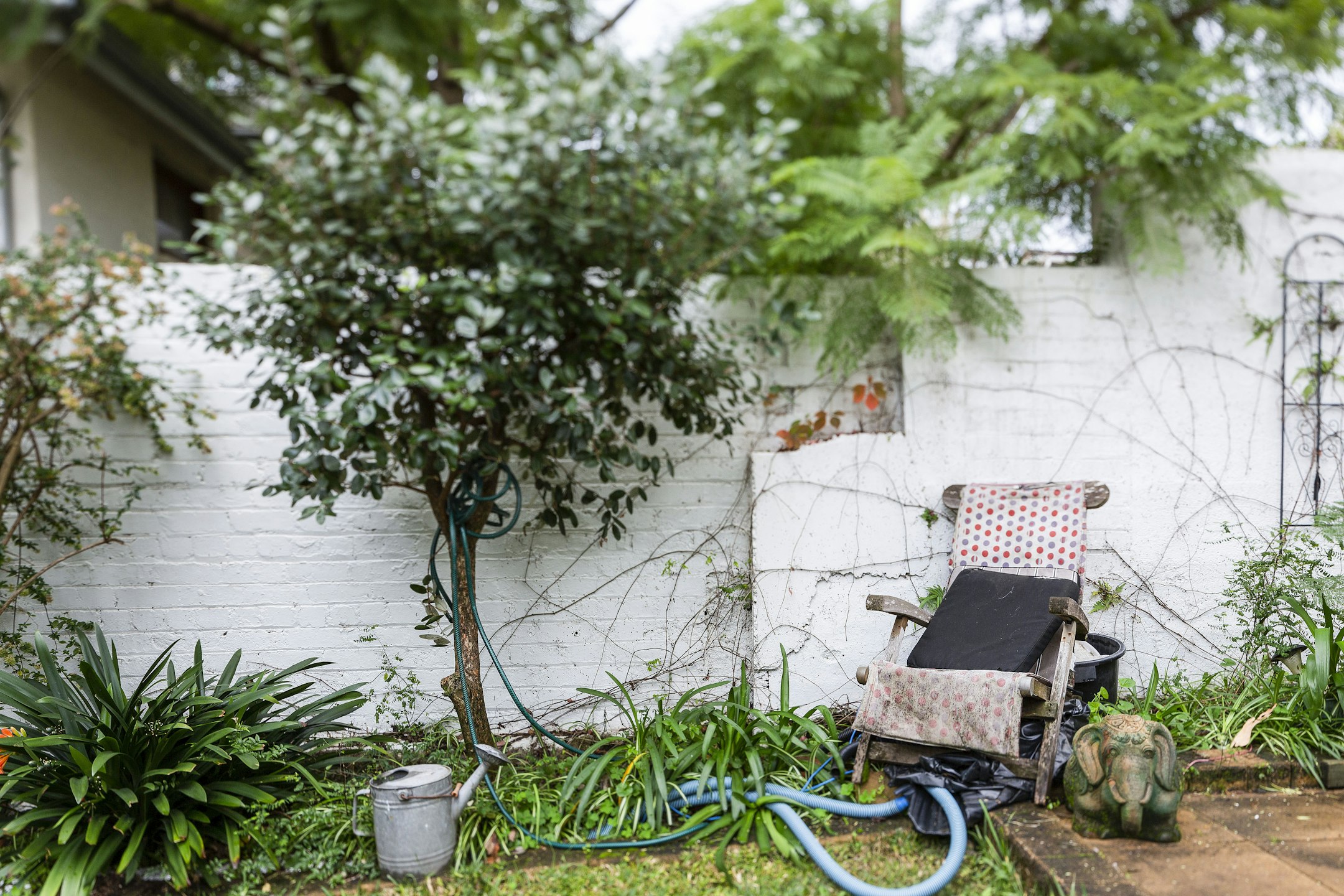 garden