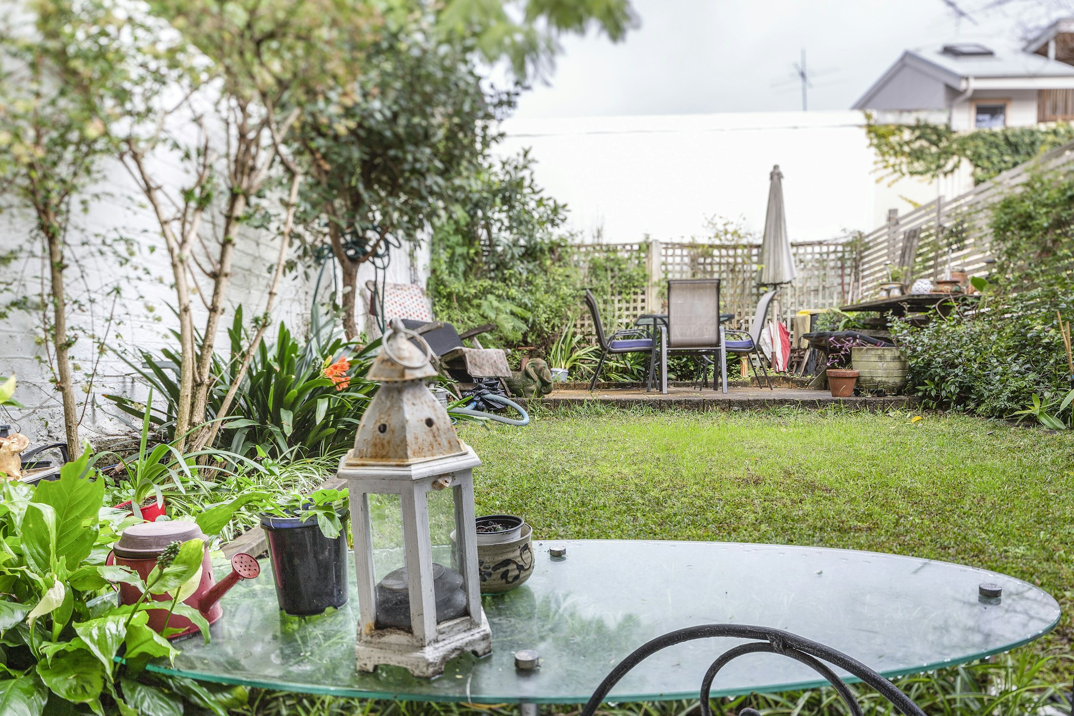 garden