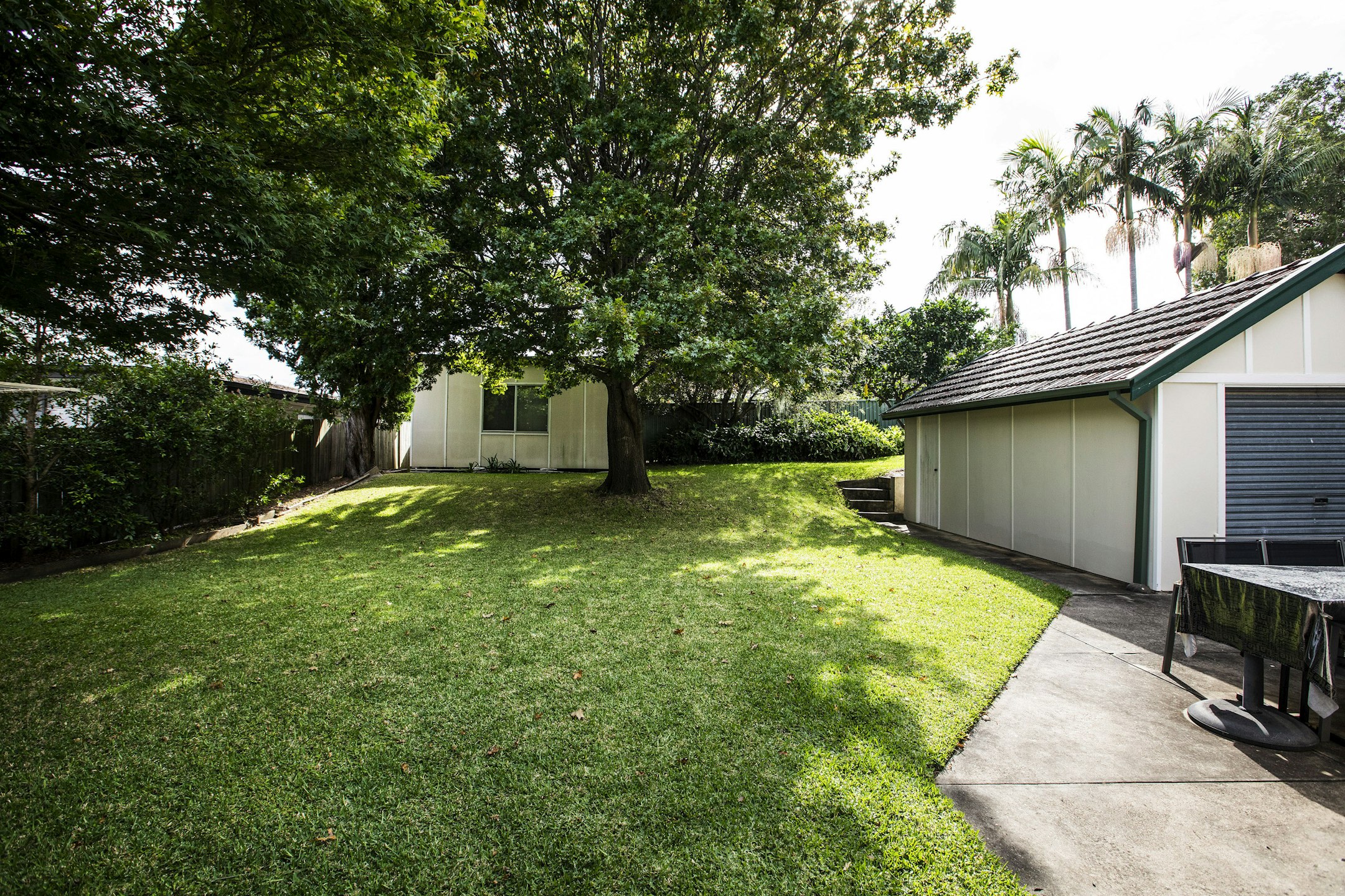 backyard