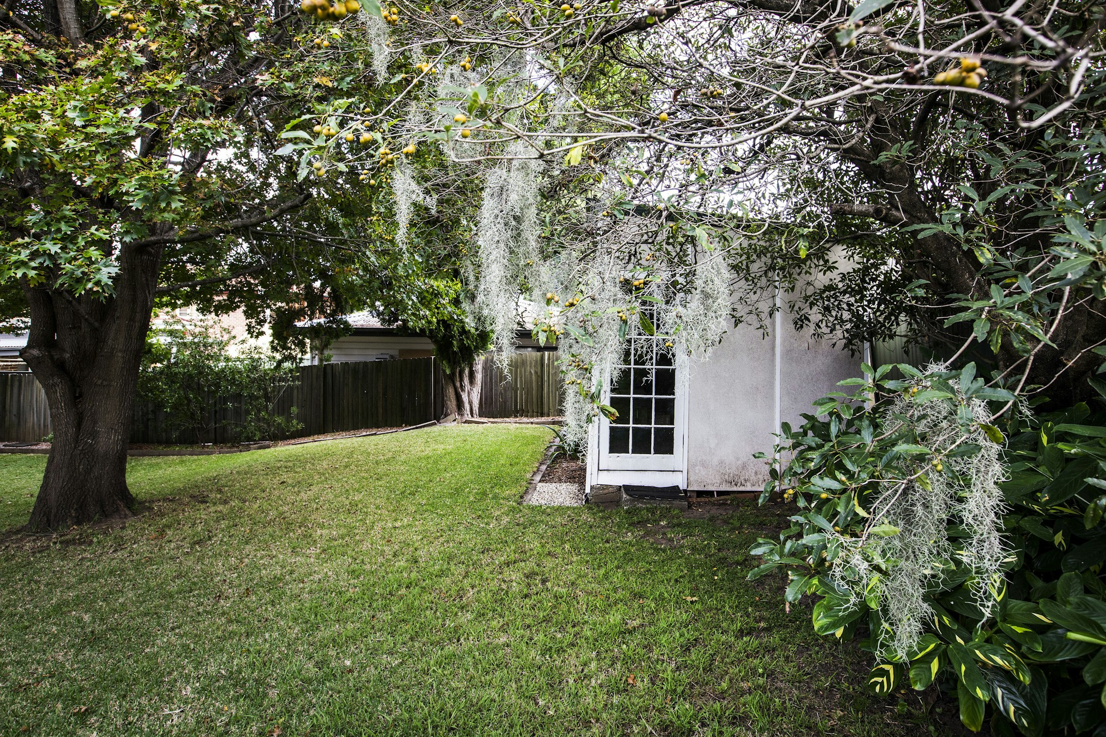 garden