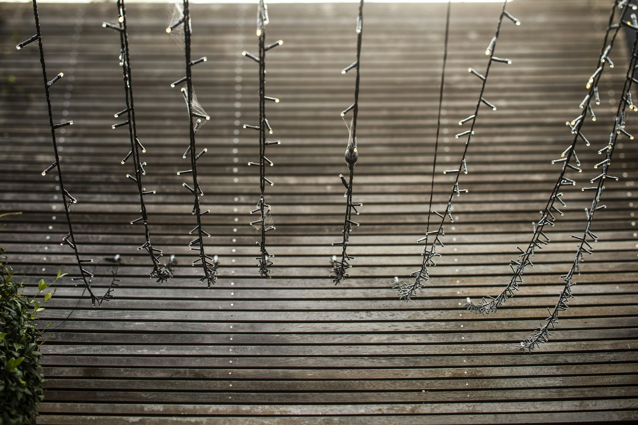 wood