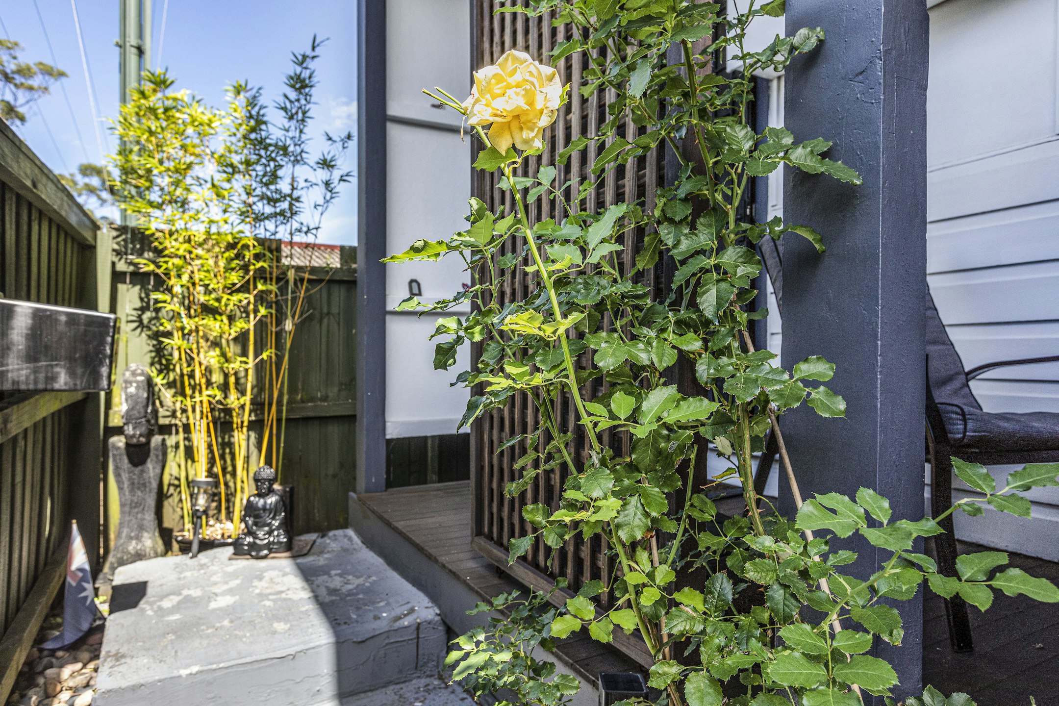 garden