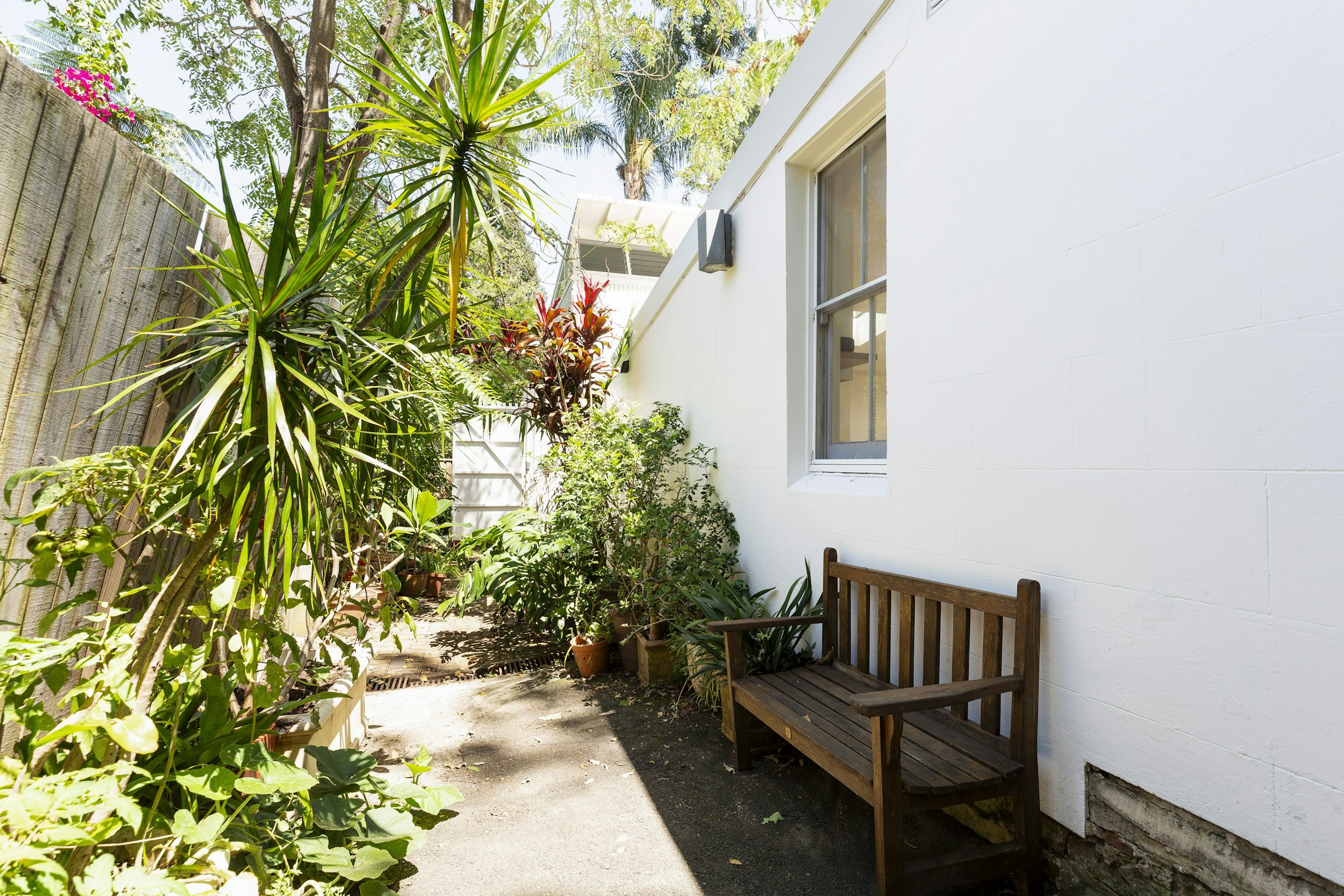 garden