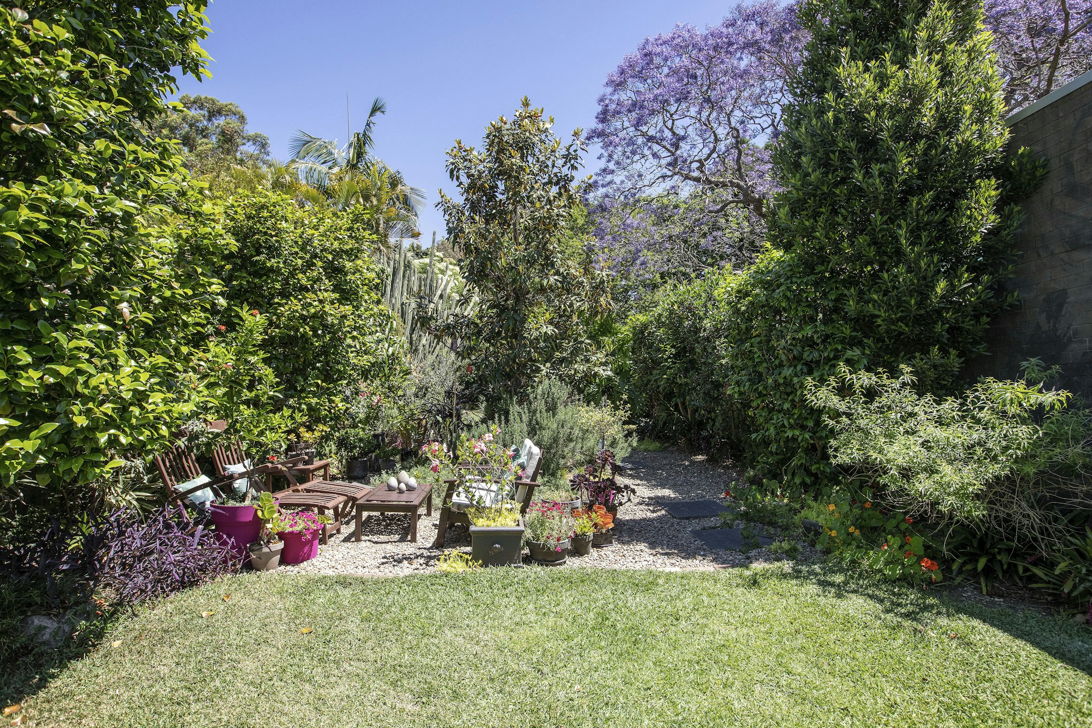 garden