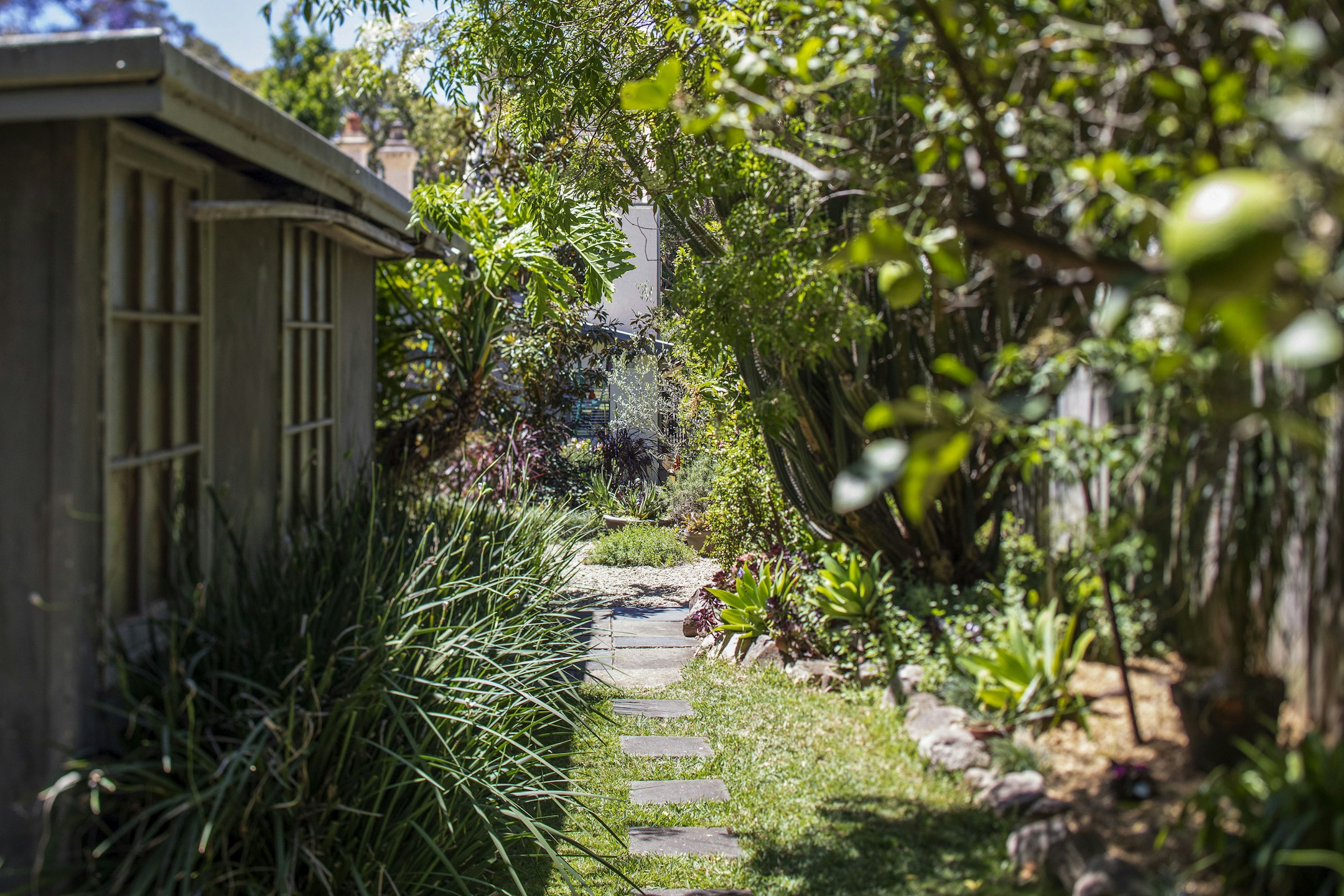 garden