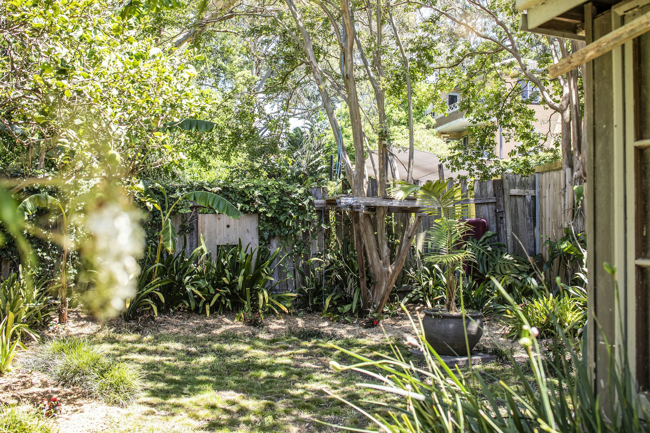 garden
