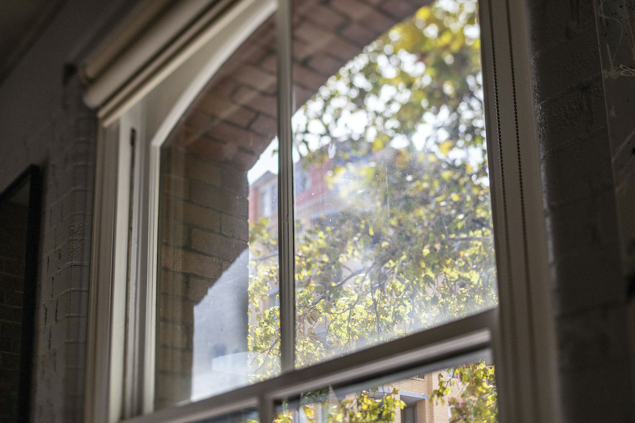 window